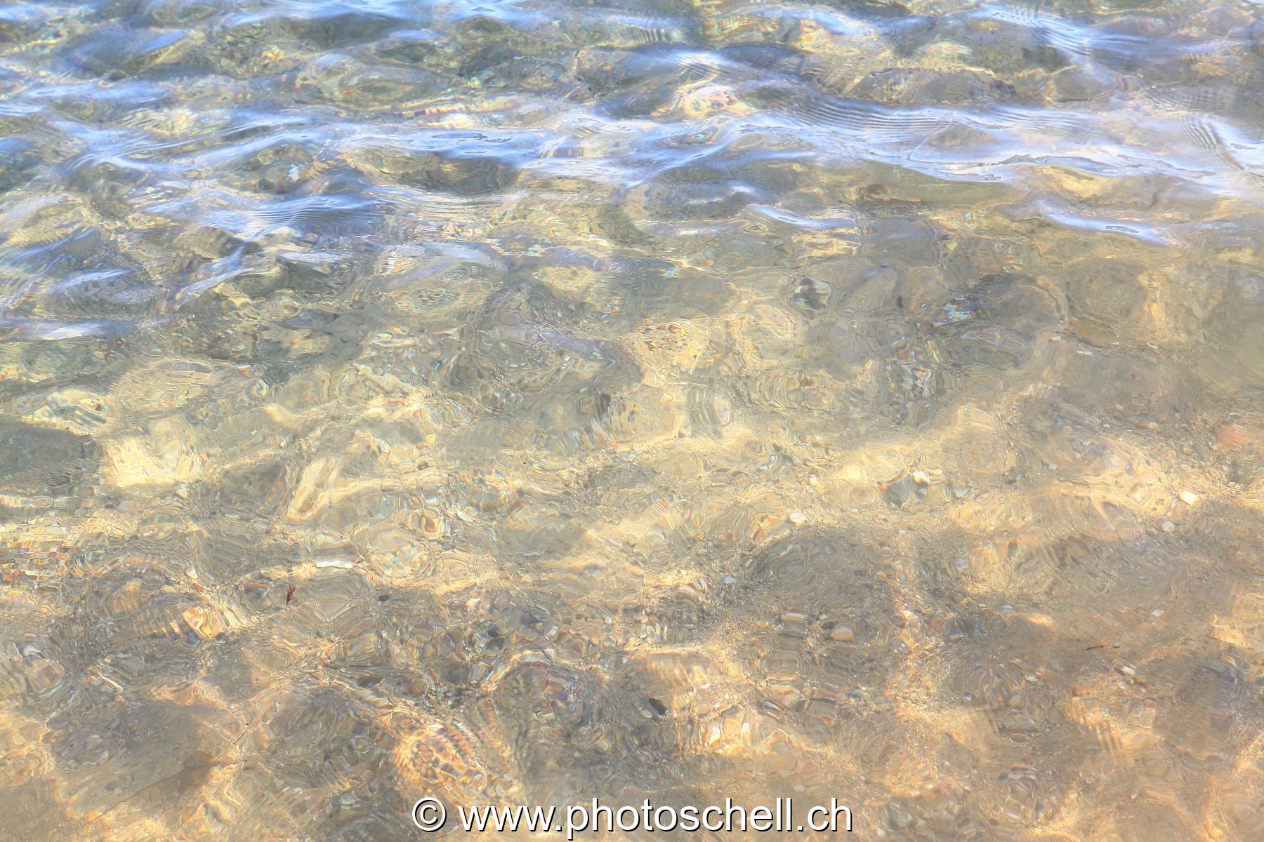 Reflets dans l'eau