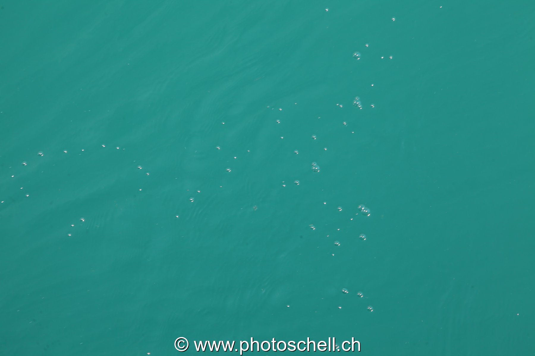 Bulles d'eau dans le lac