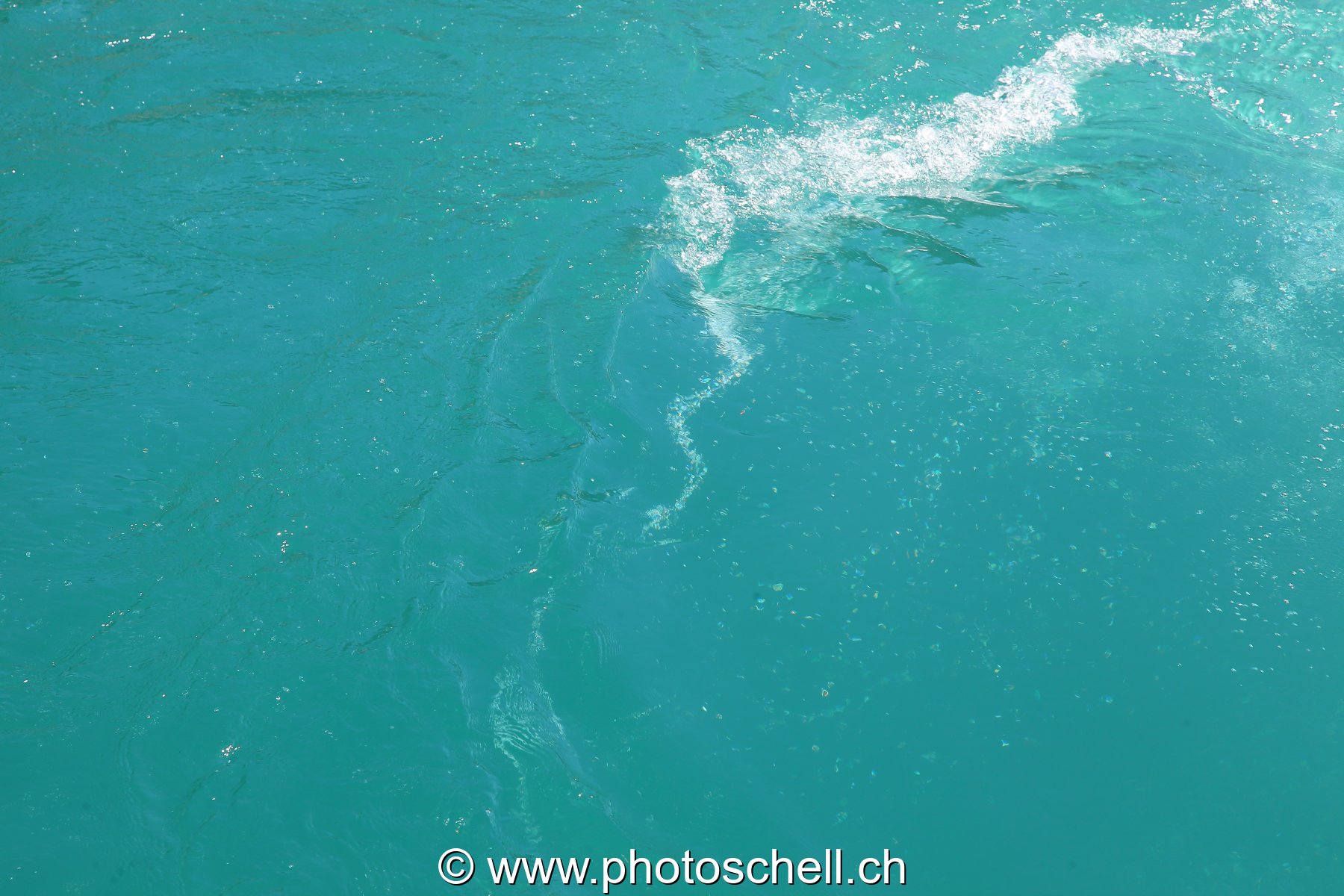 Bulles d'eau dans le lac