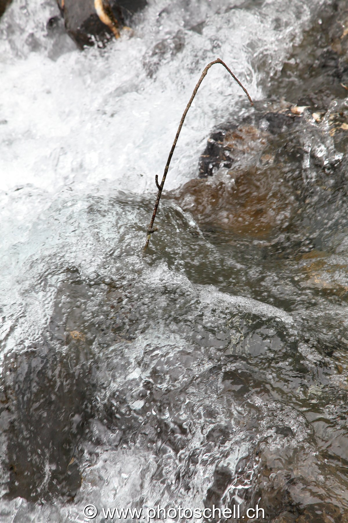 Cascade