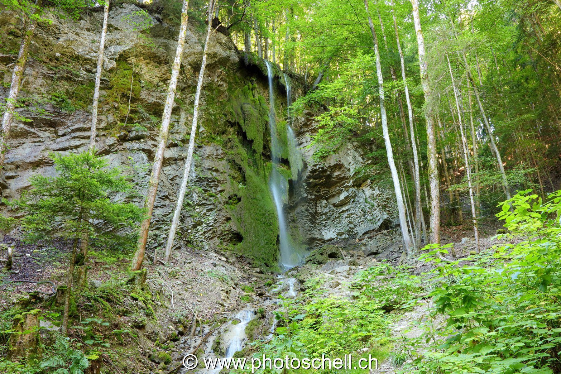 Cascade
