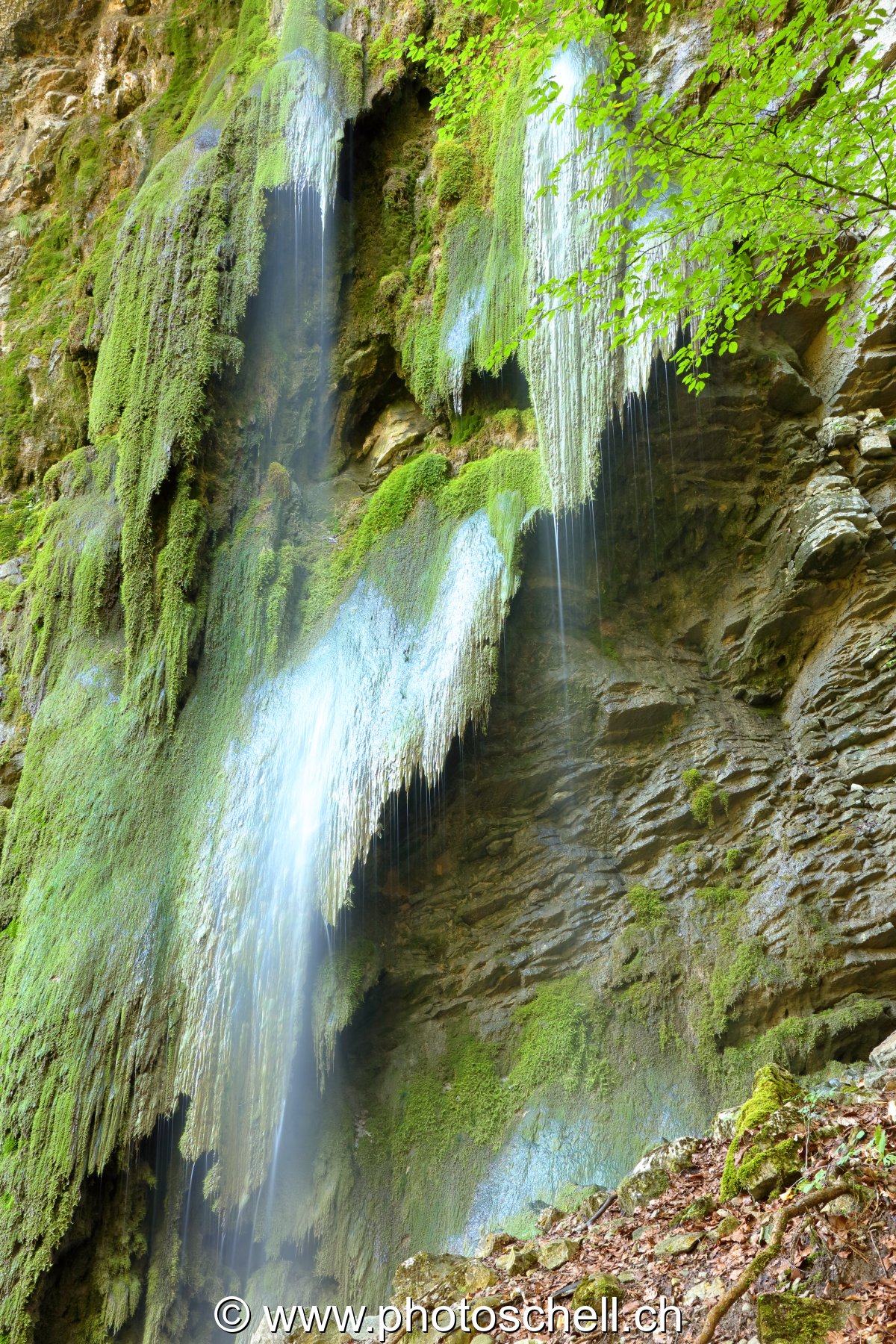 Cascade