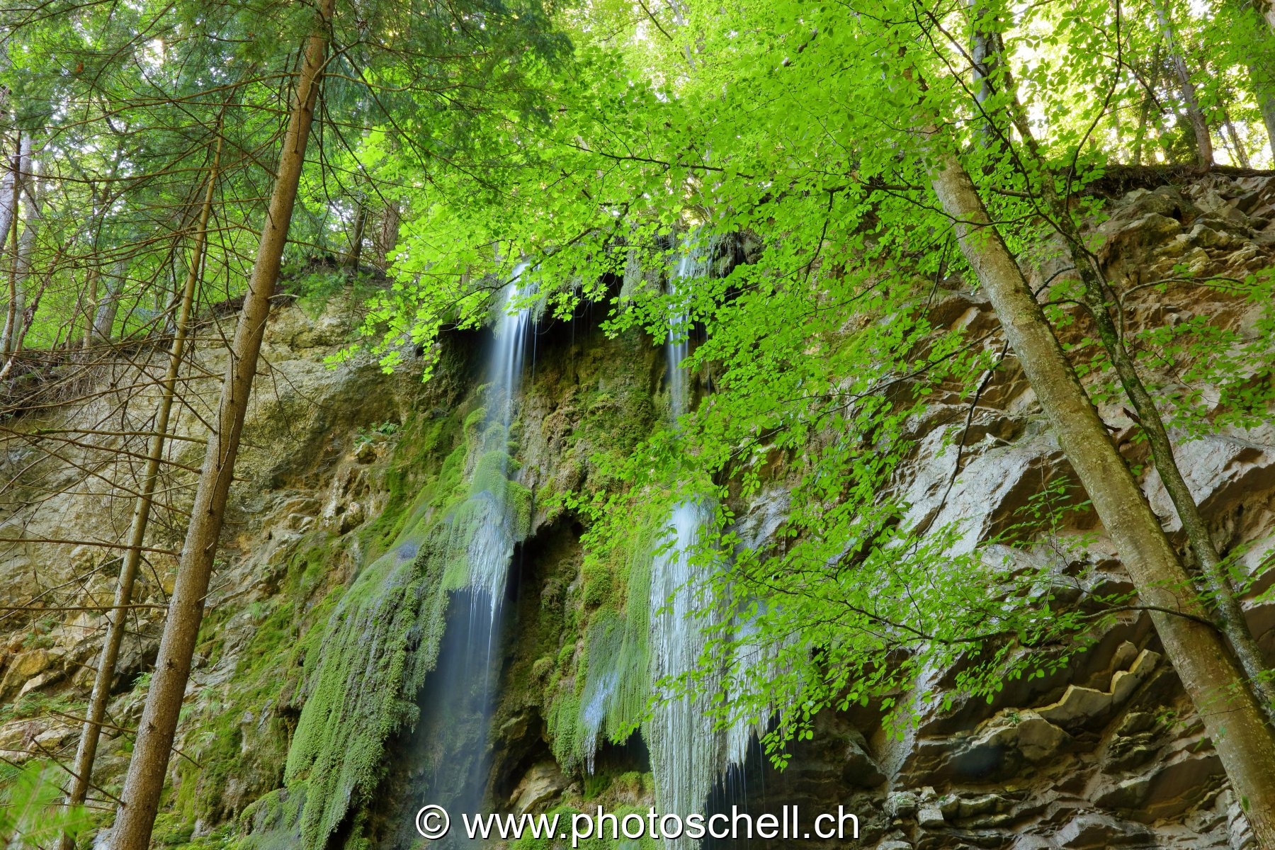 Cascade