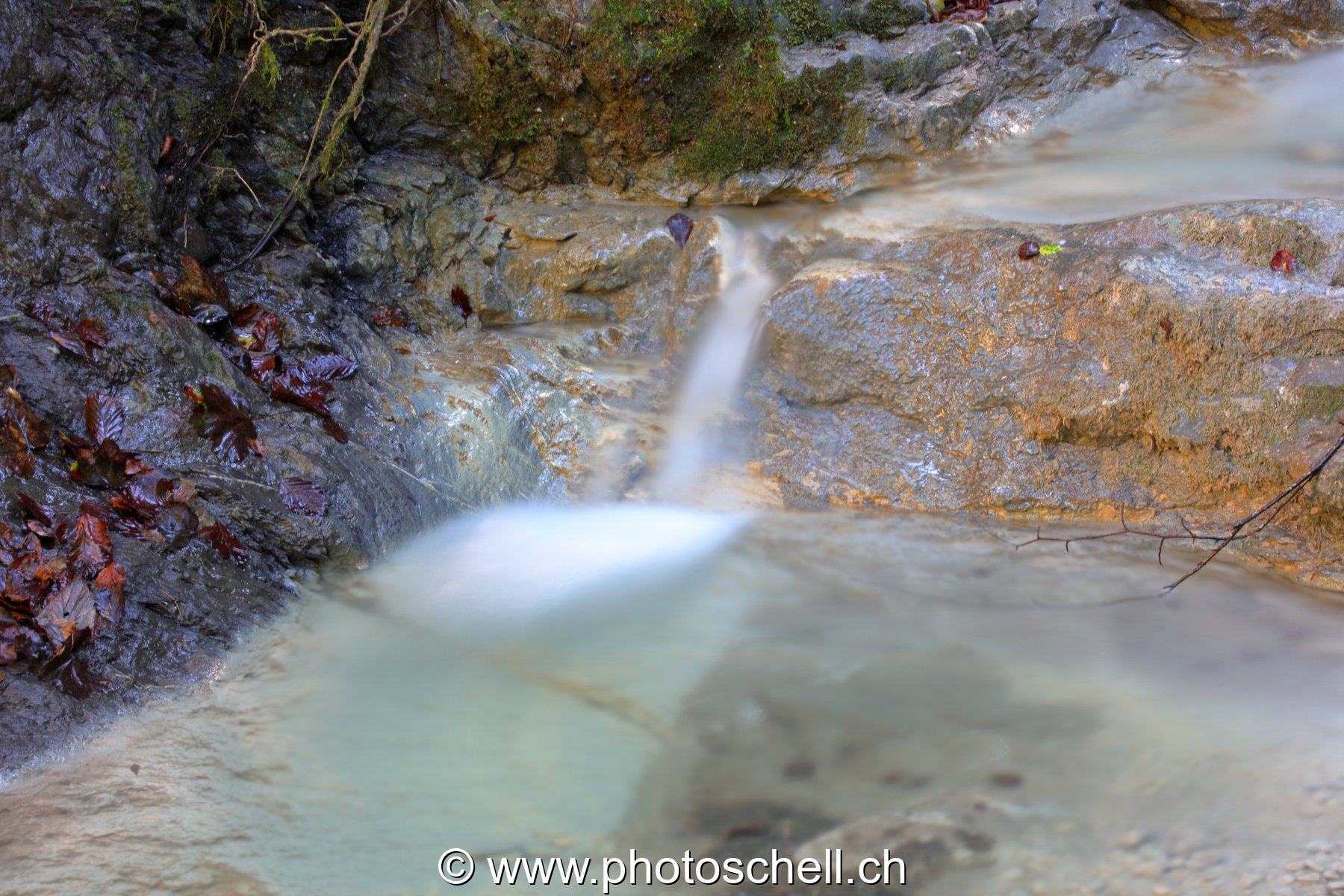 Petit filet d'eau
