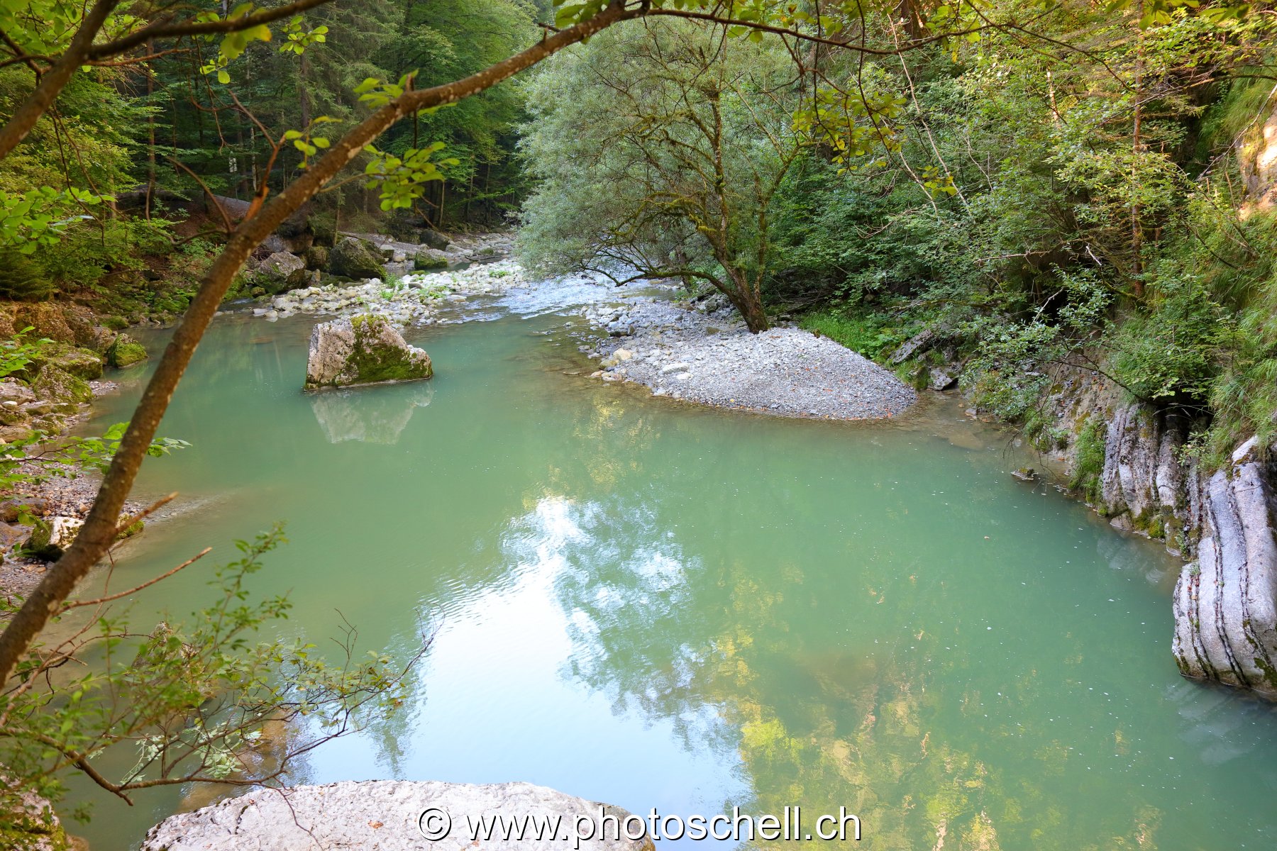 Plan d'eau et les reflets des arbres