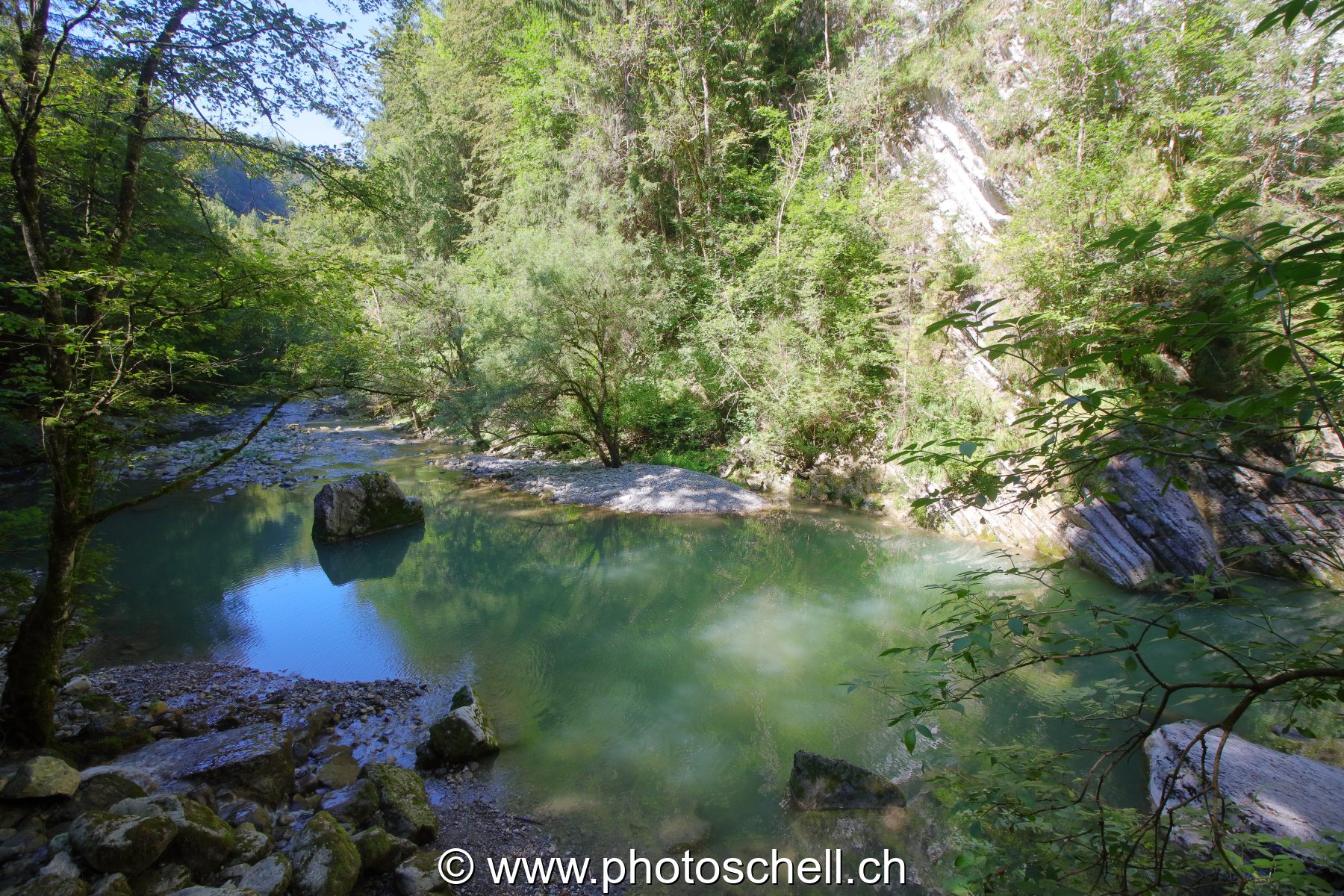 Plan d'eau en forêt
