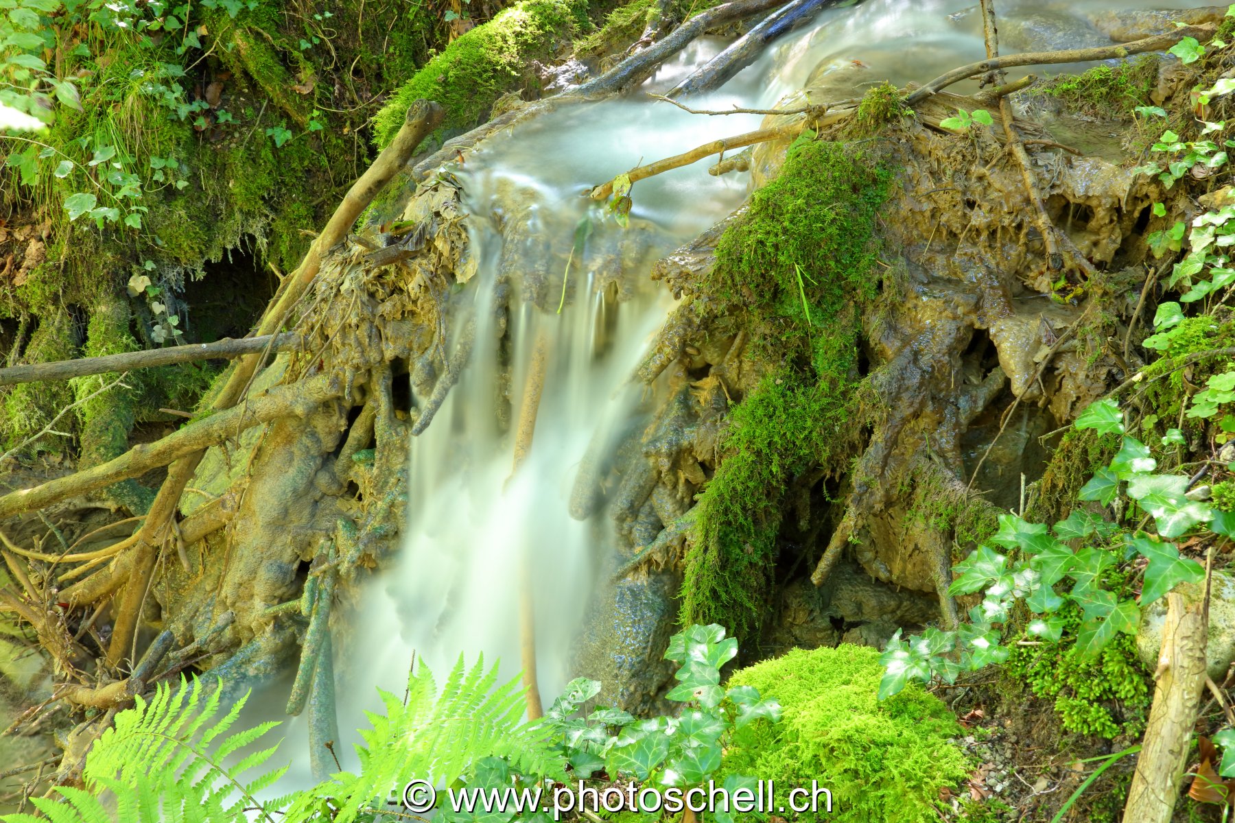 Cascade