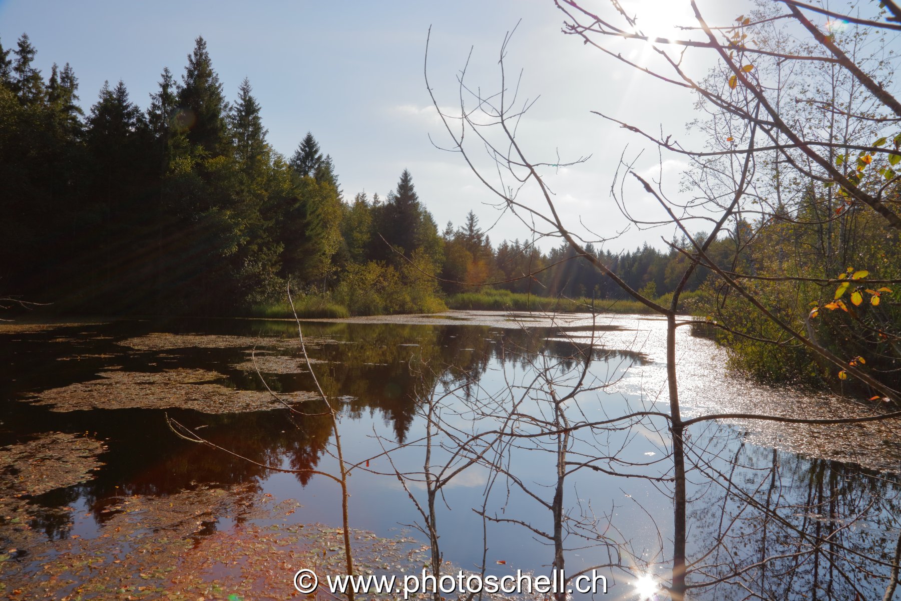Reflet du soleil sur les tourbières