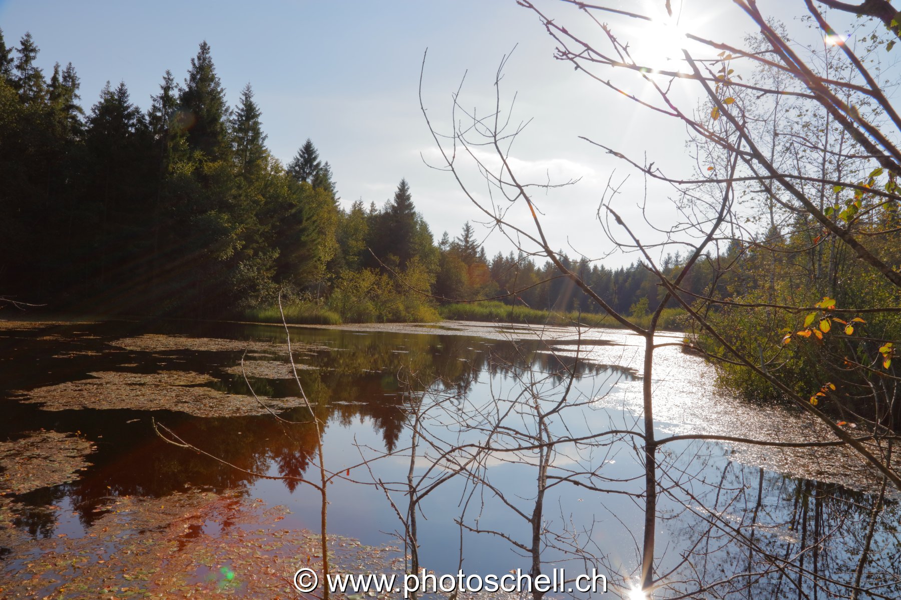 Reflet du soleil sur les tourbières