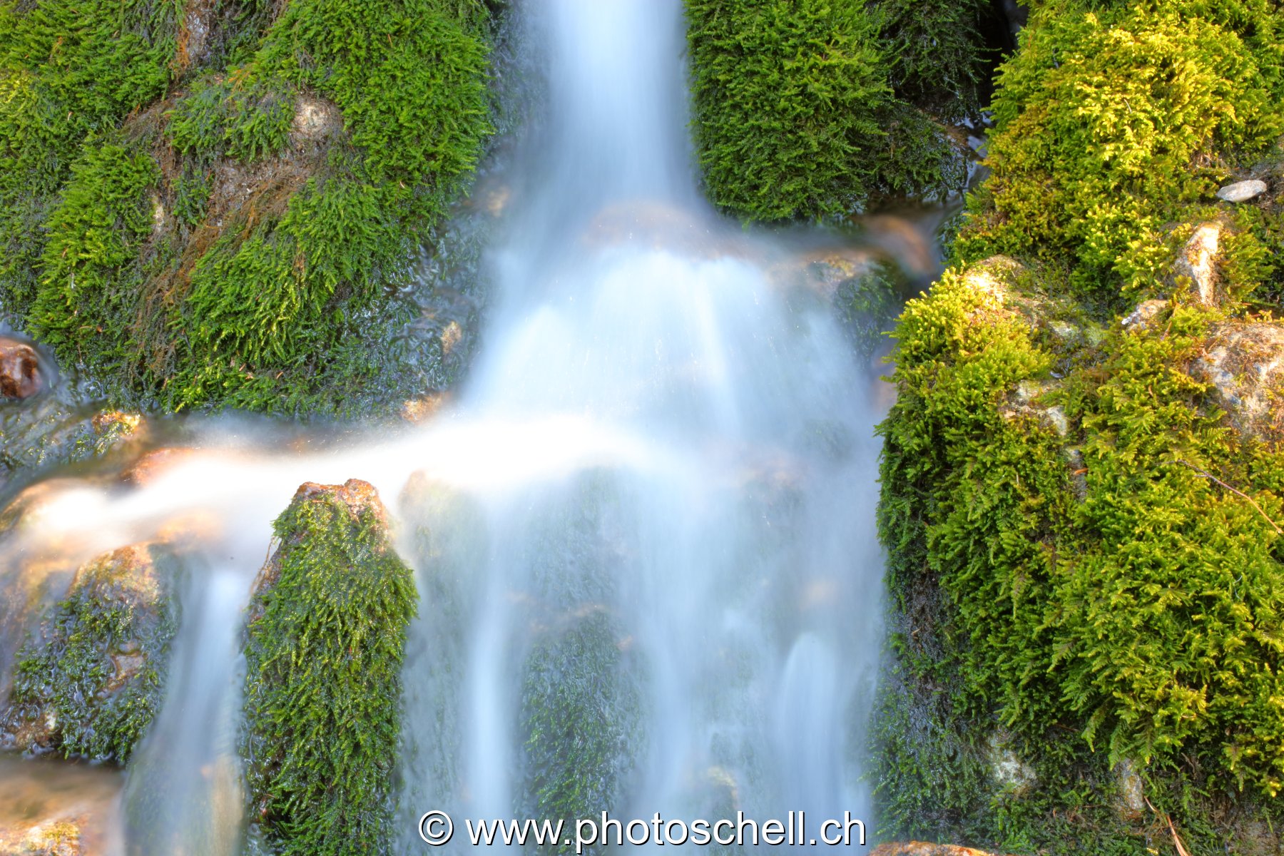 Cascade