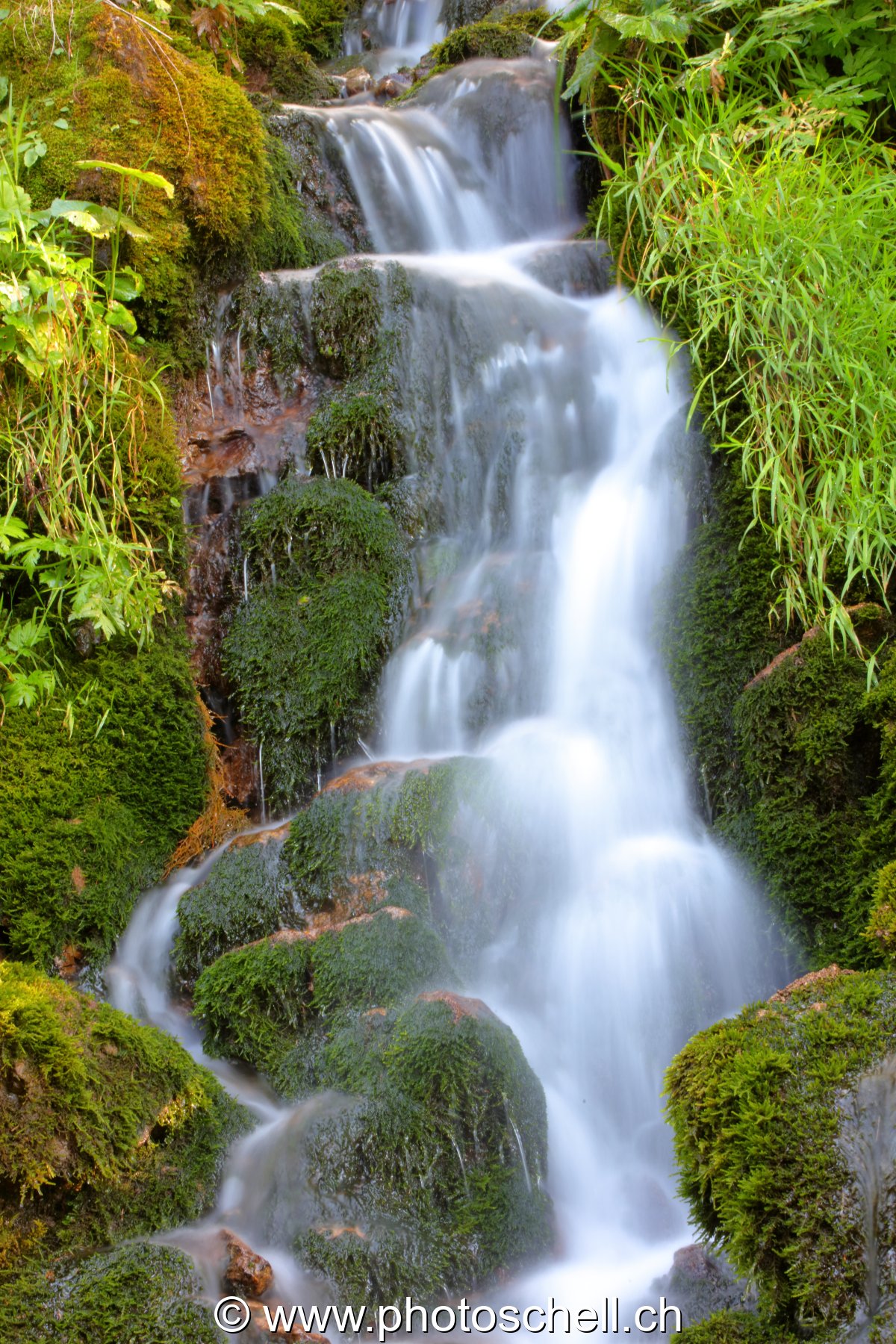 Cascade