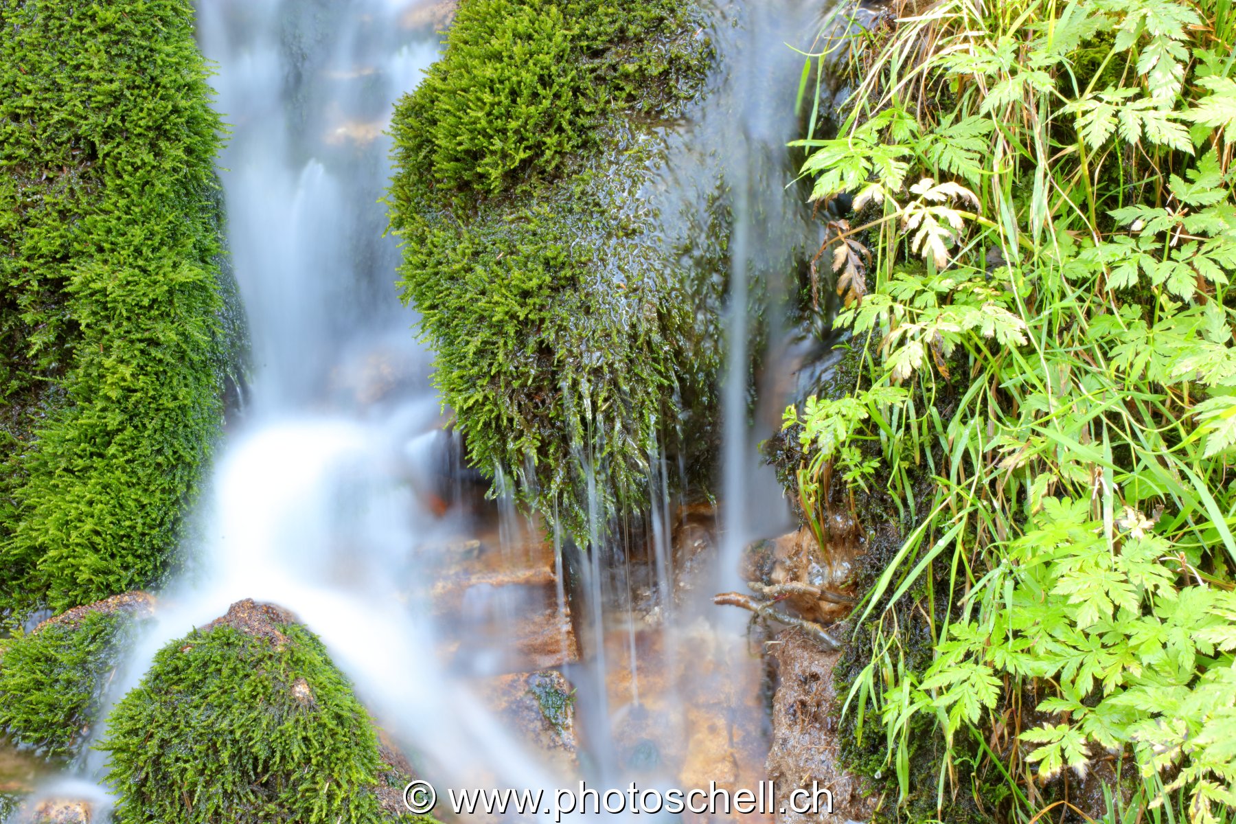 Cascade