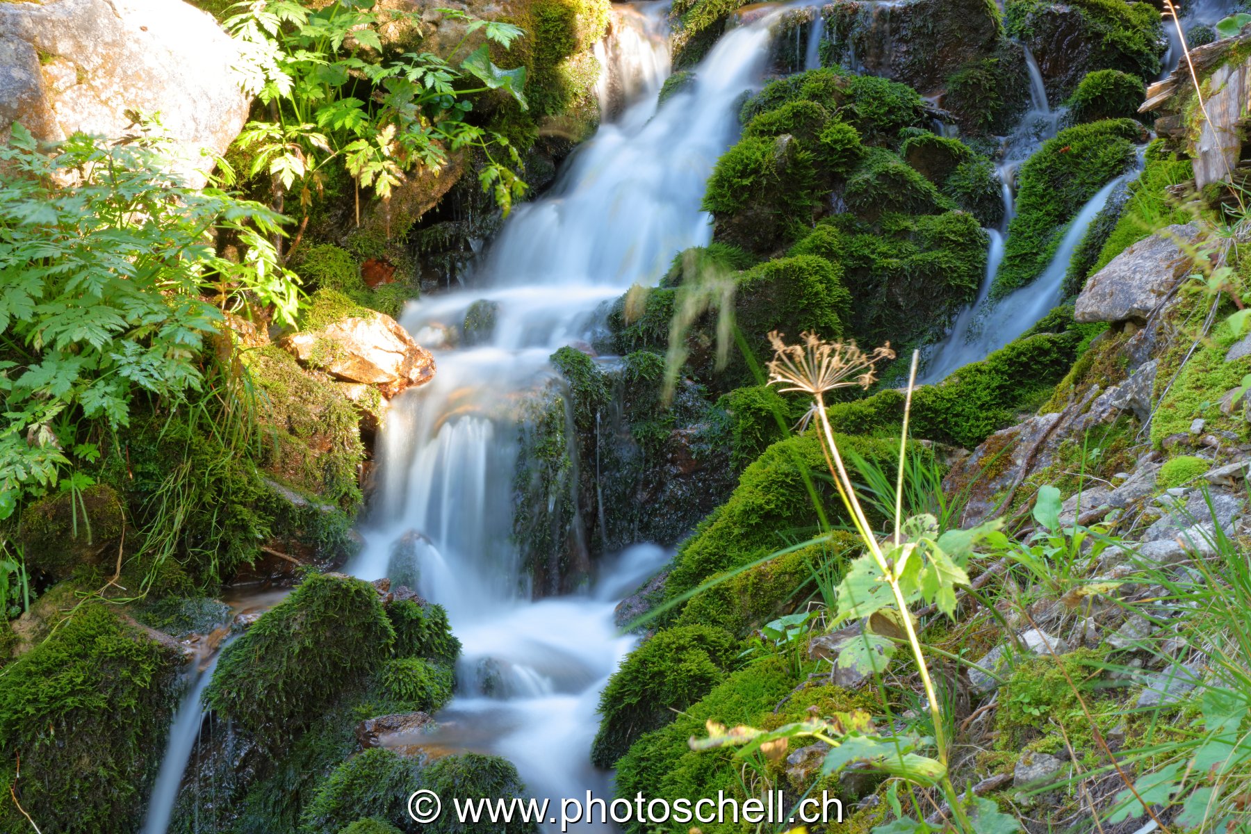 Cascade