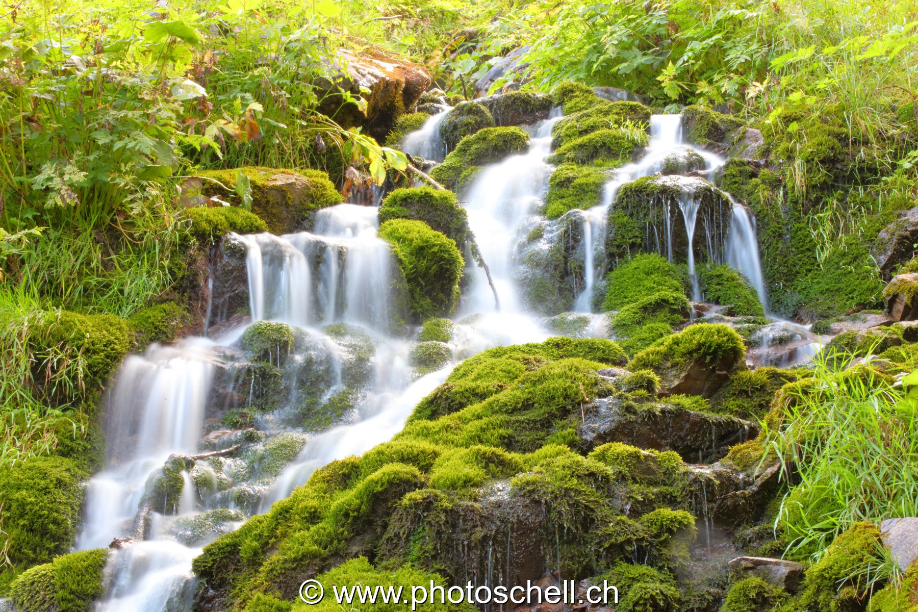 Cascade