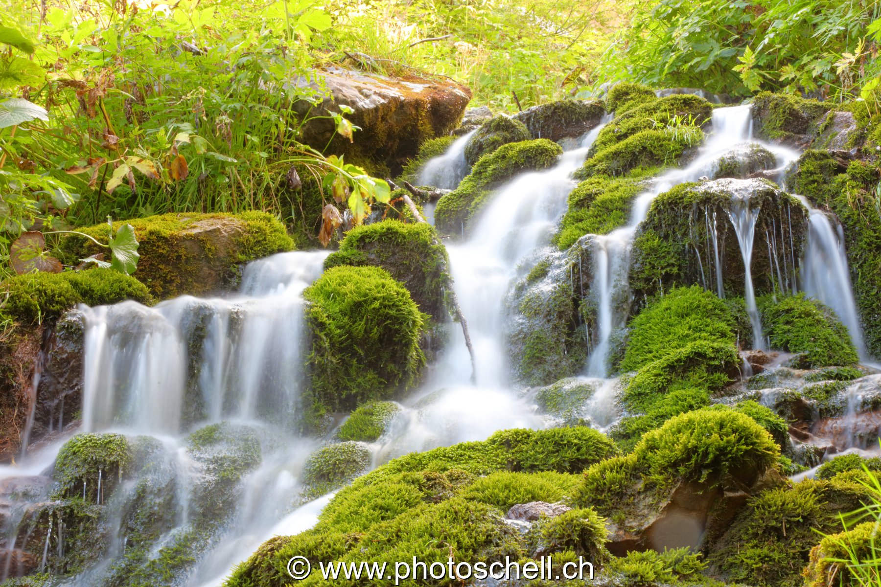 Cascade