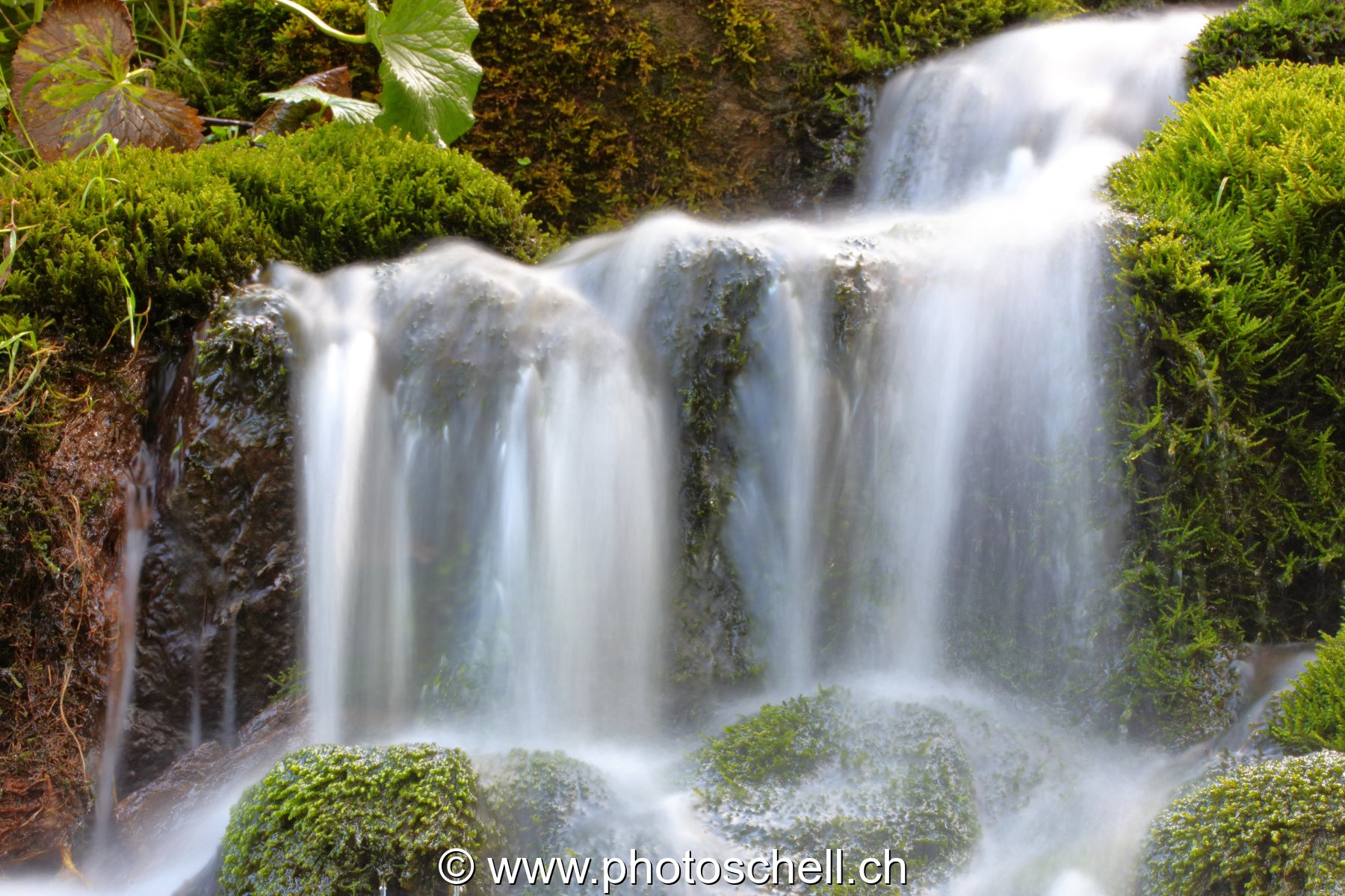 Cascade