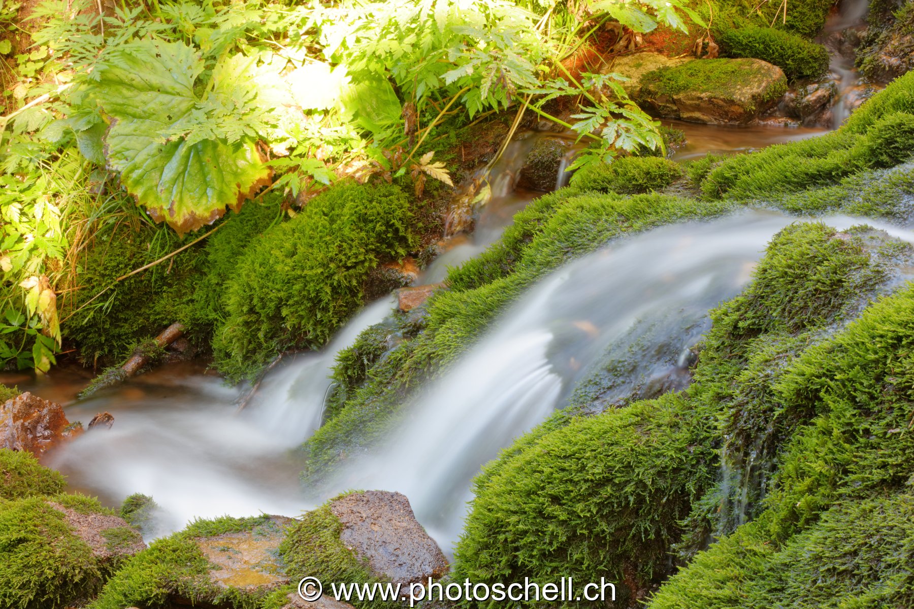 Cascade