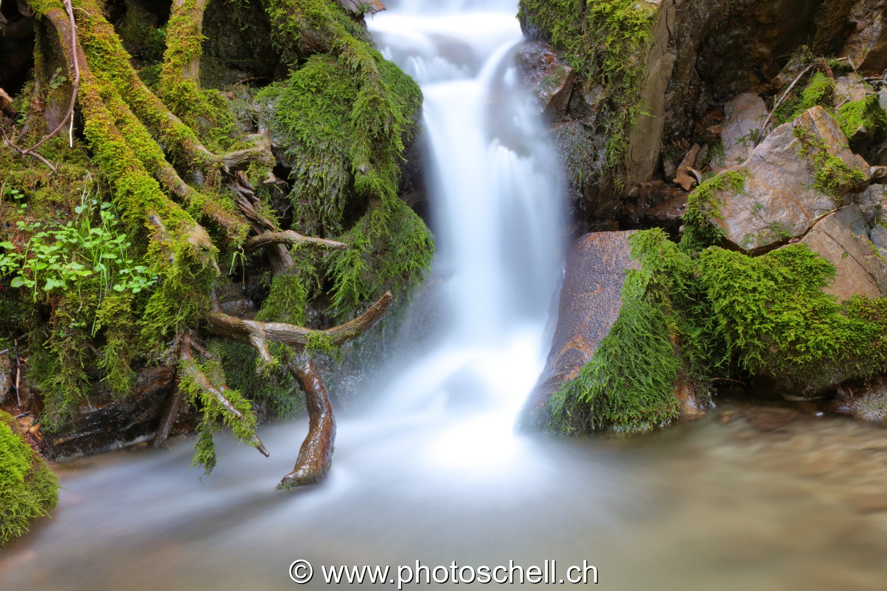 Cascade