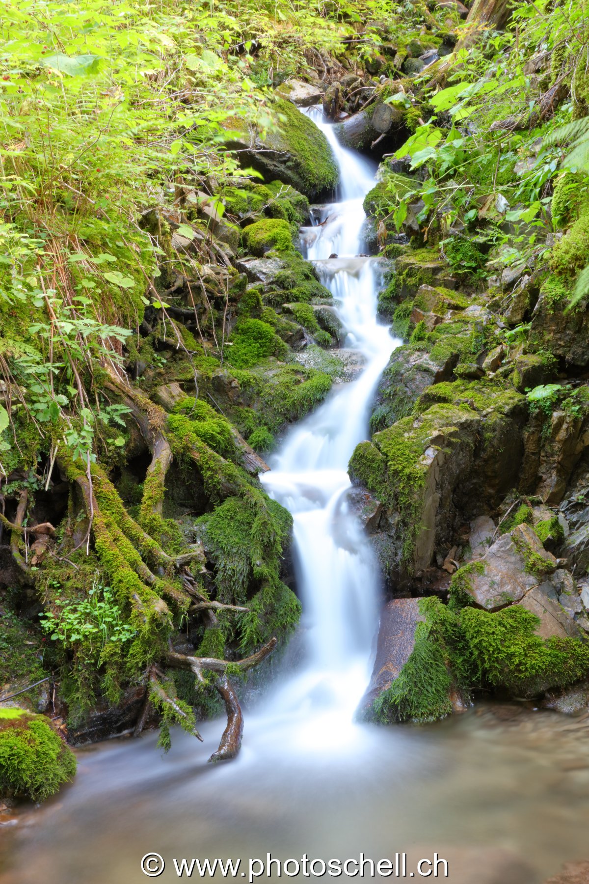 Cascade