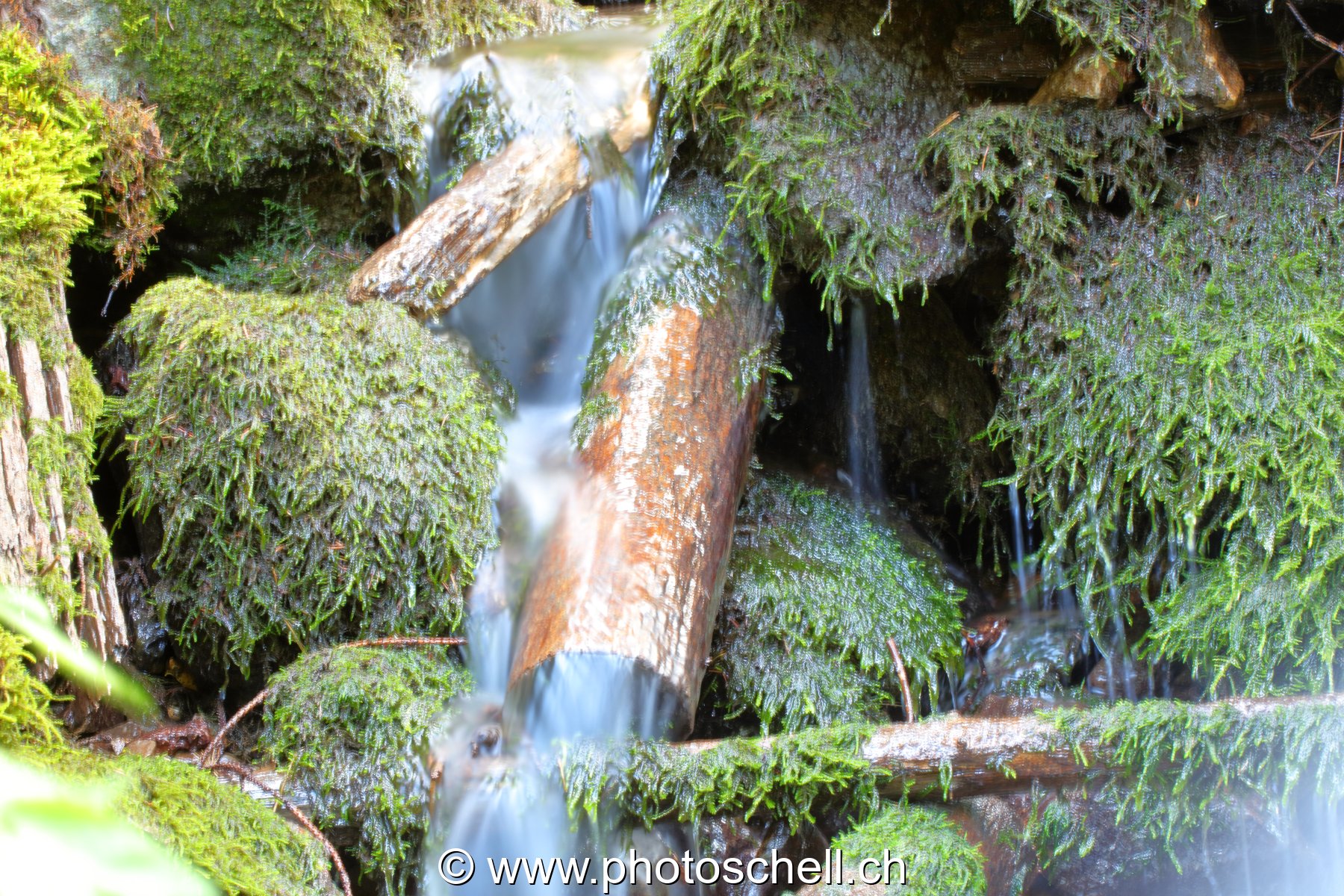 Cascade