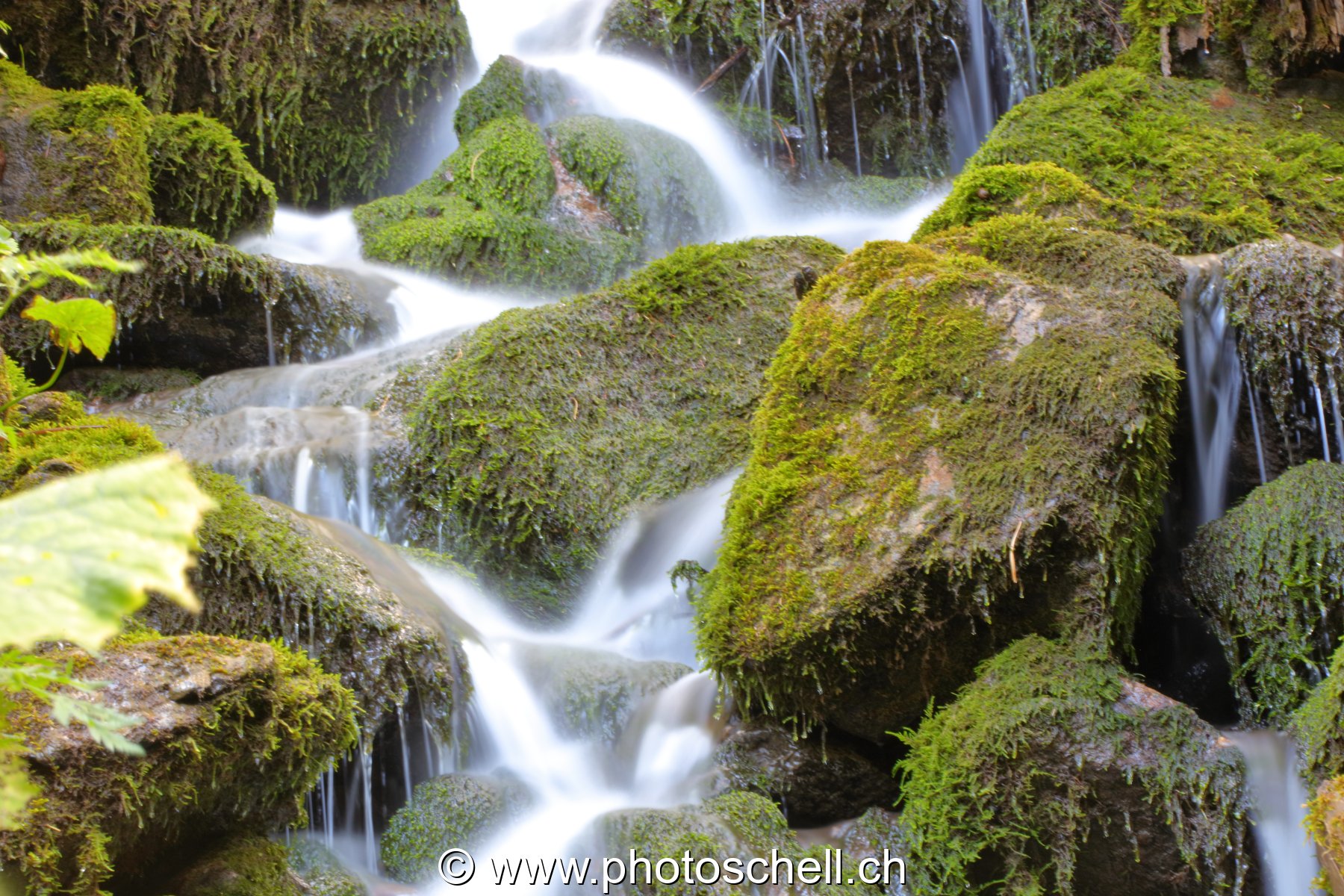 Cascade