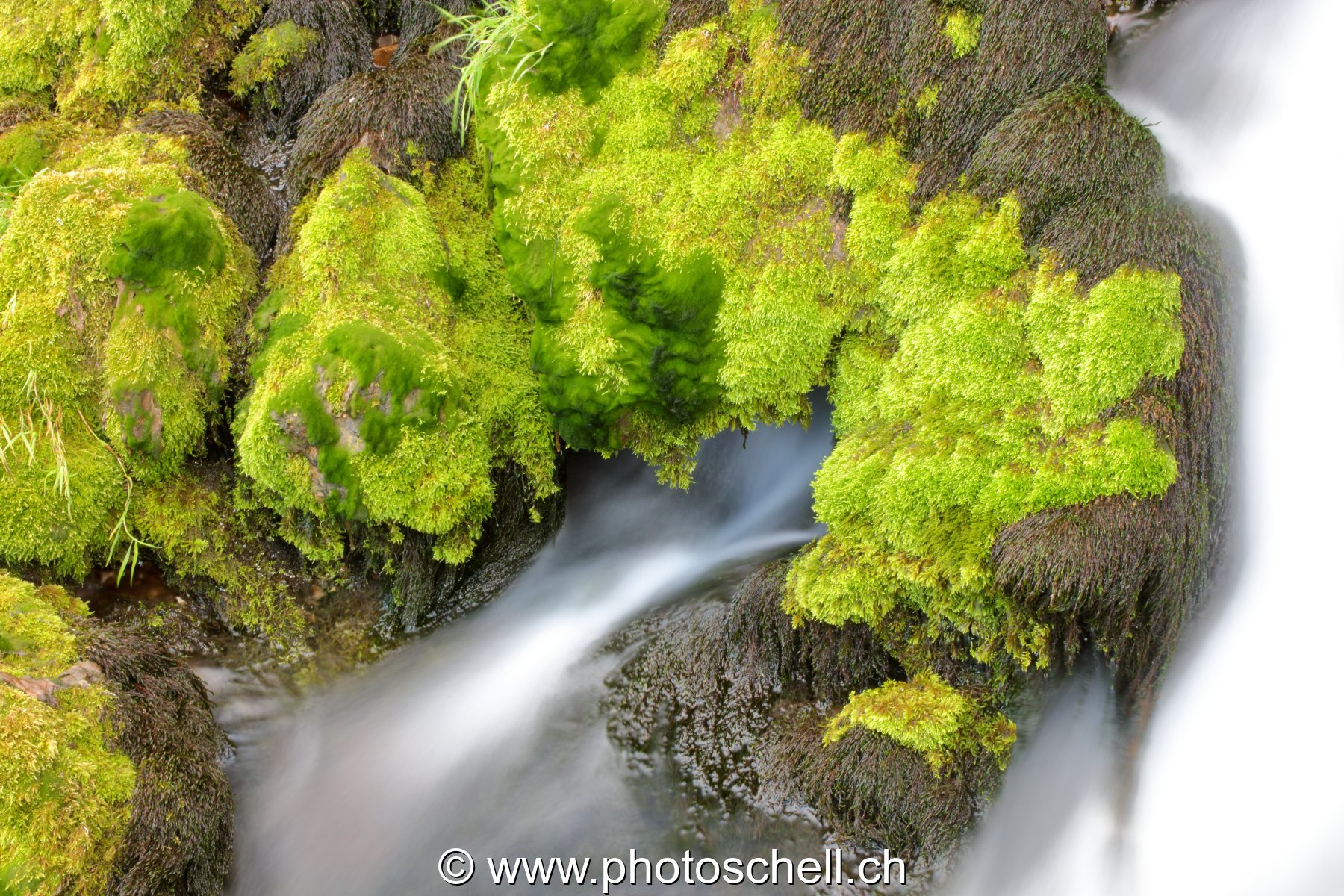 Cascade