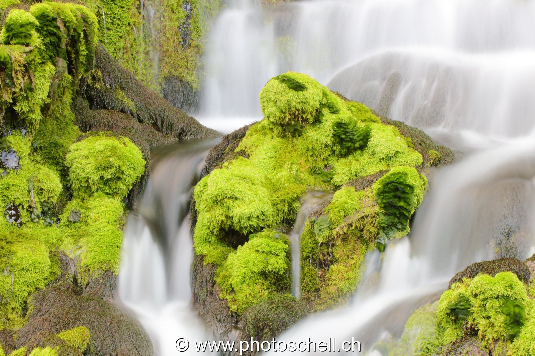 Cascade