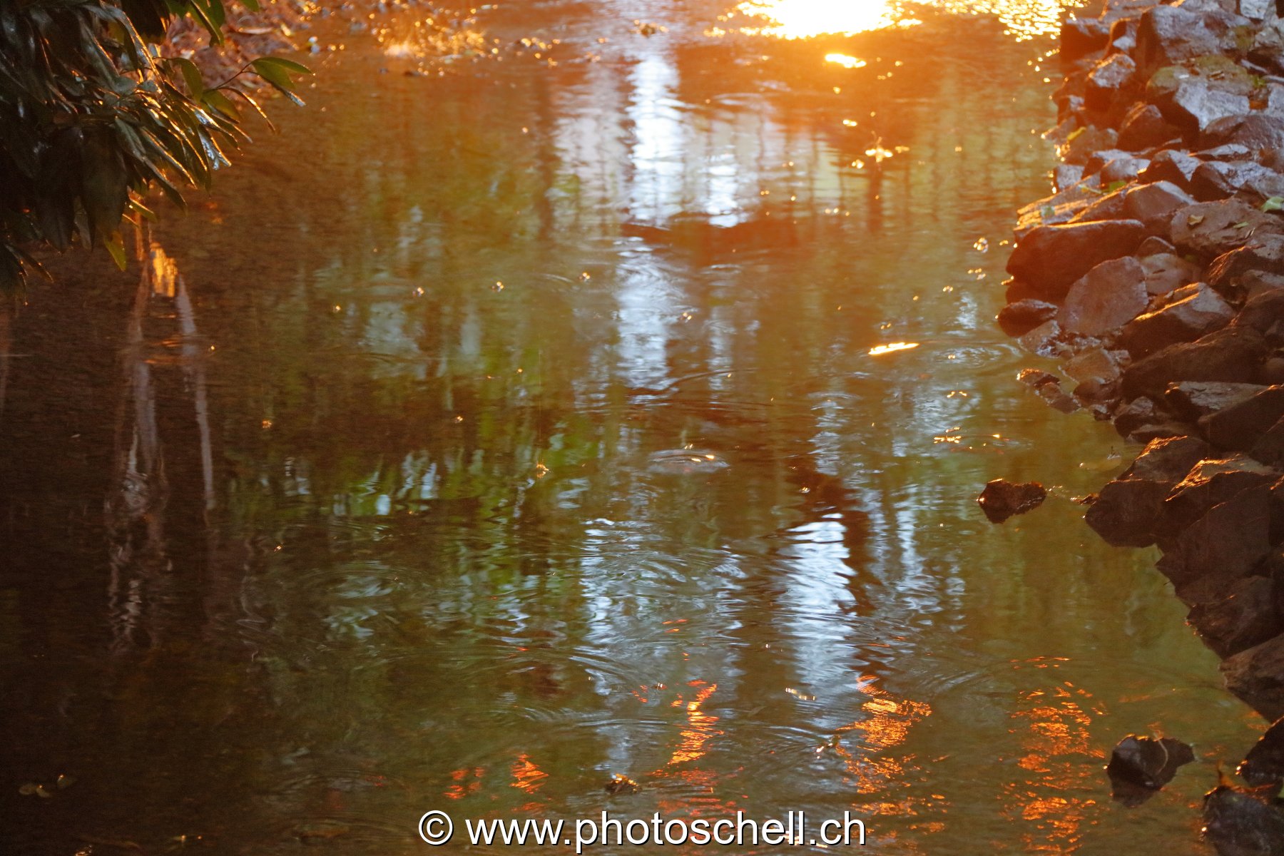Reflets de soleil sur l'eau