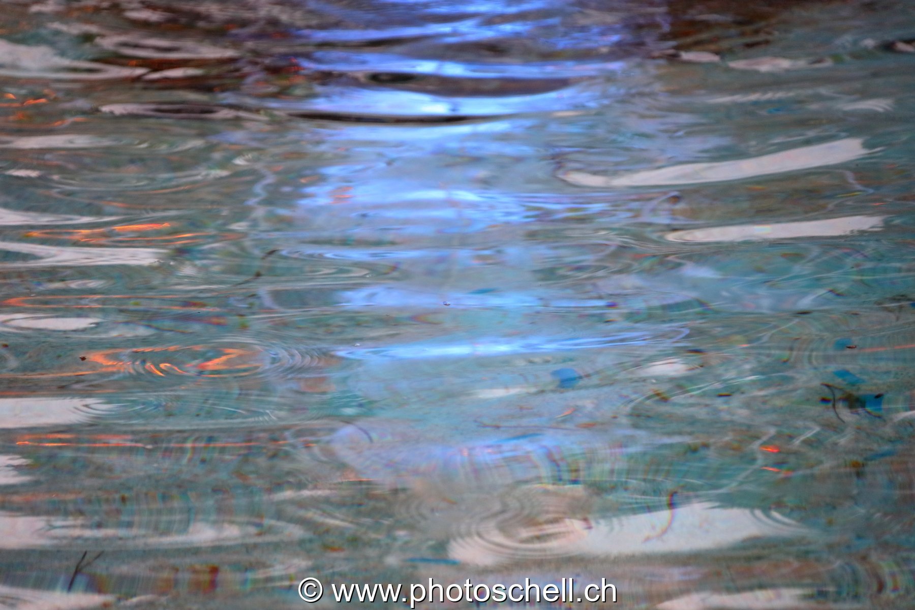 Reflets dans l'eau
