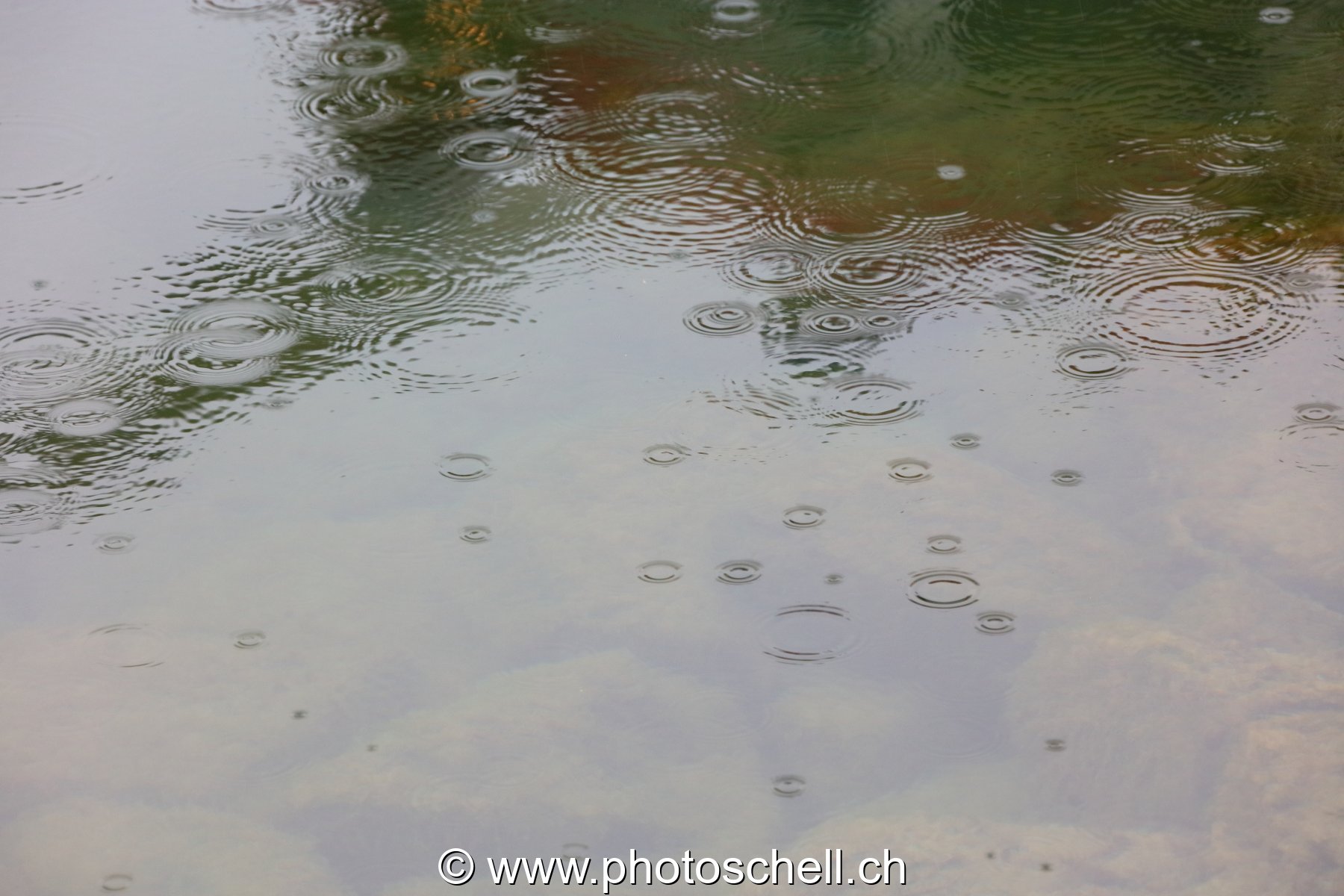 Impacts de la pluie sur l'eau