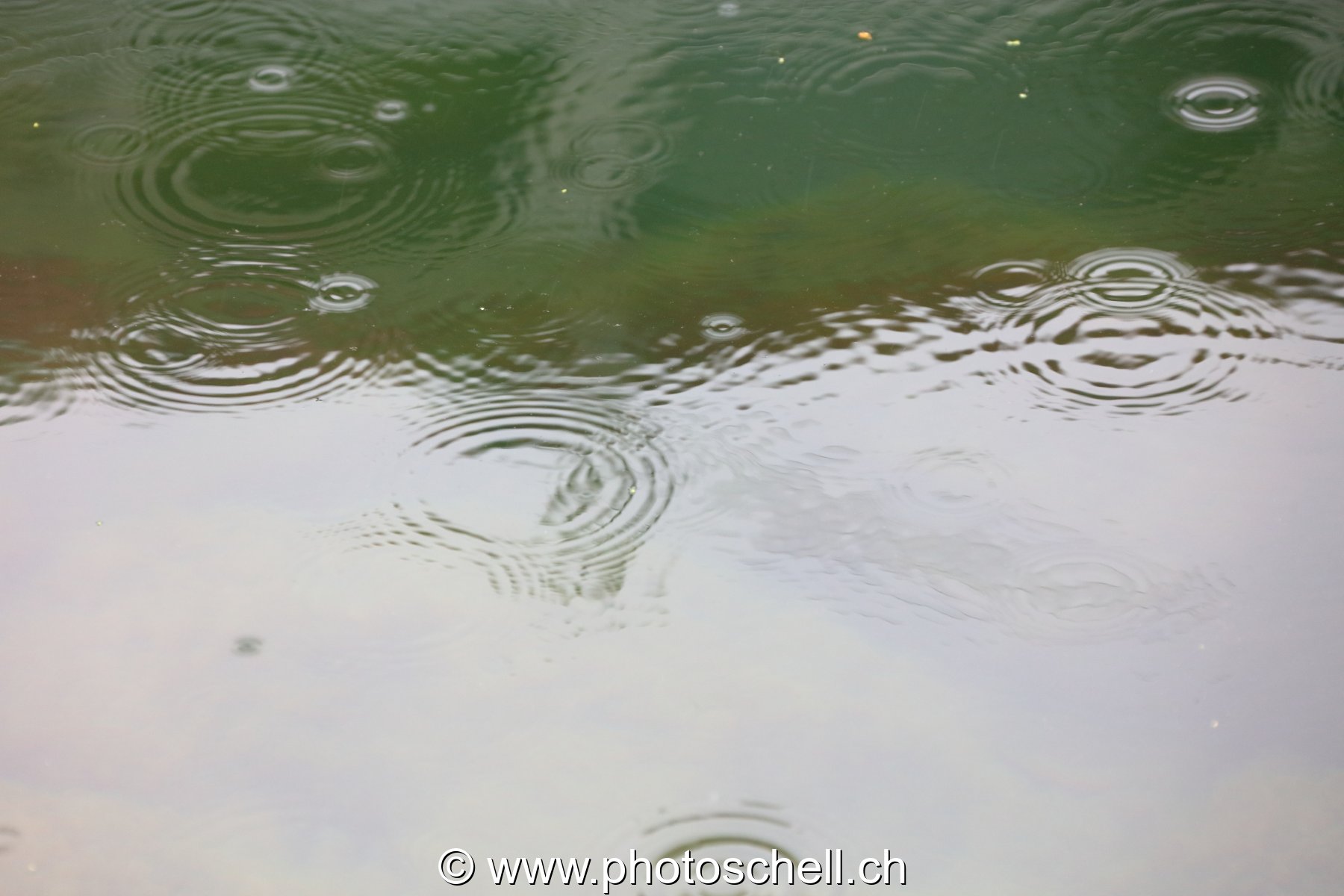 Impacts de la pluie sur l'eau