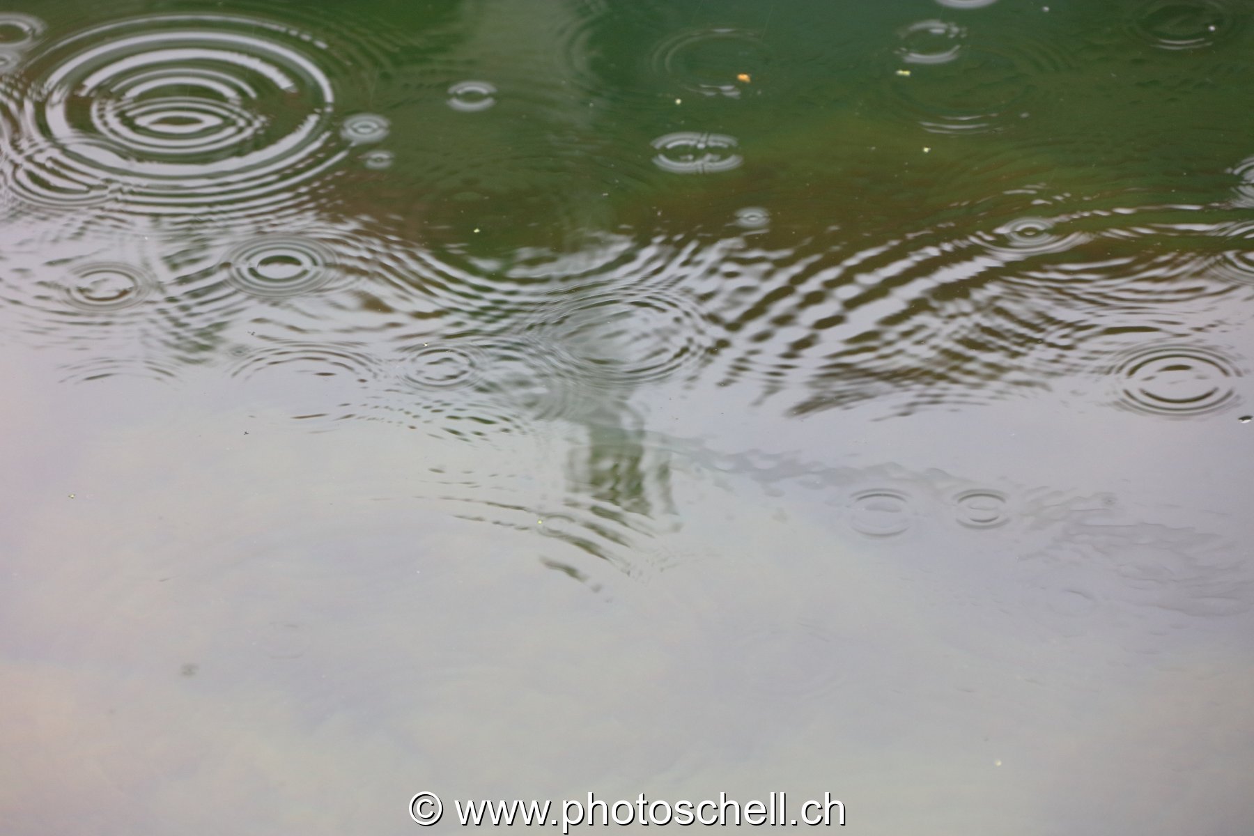 Impacts de la pluie sur l'eau