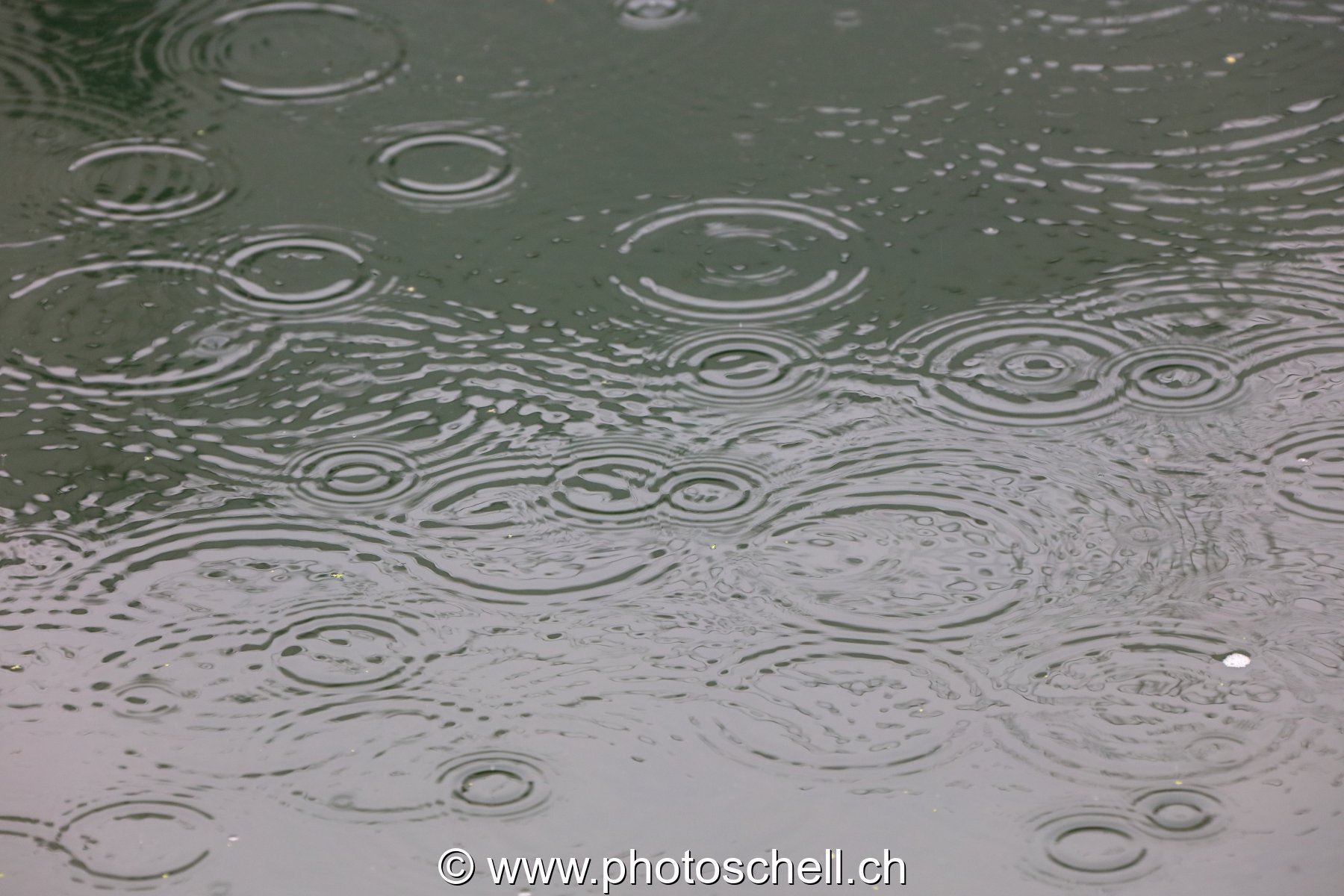 Impacts de la pluie sur l'eau