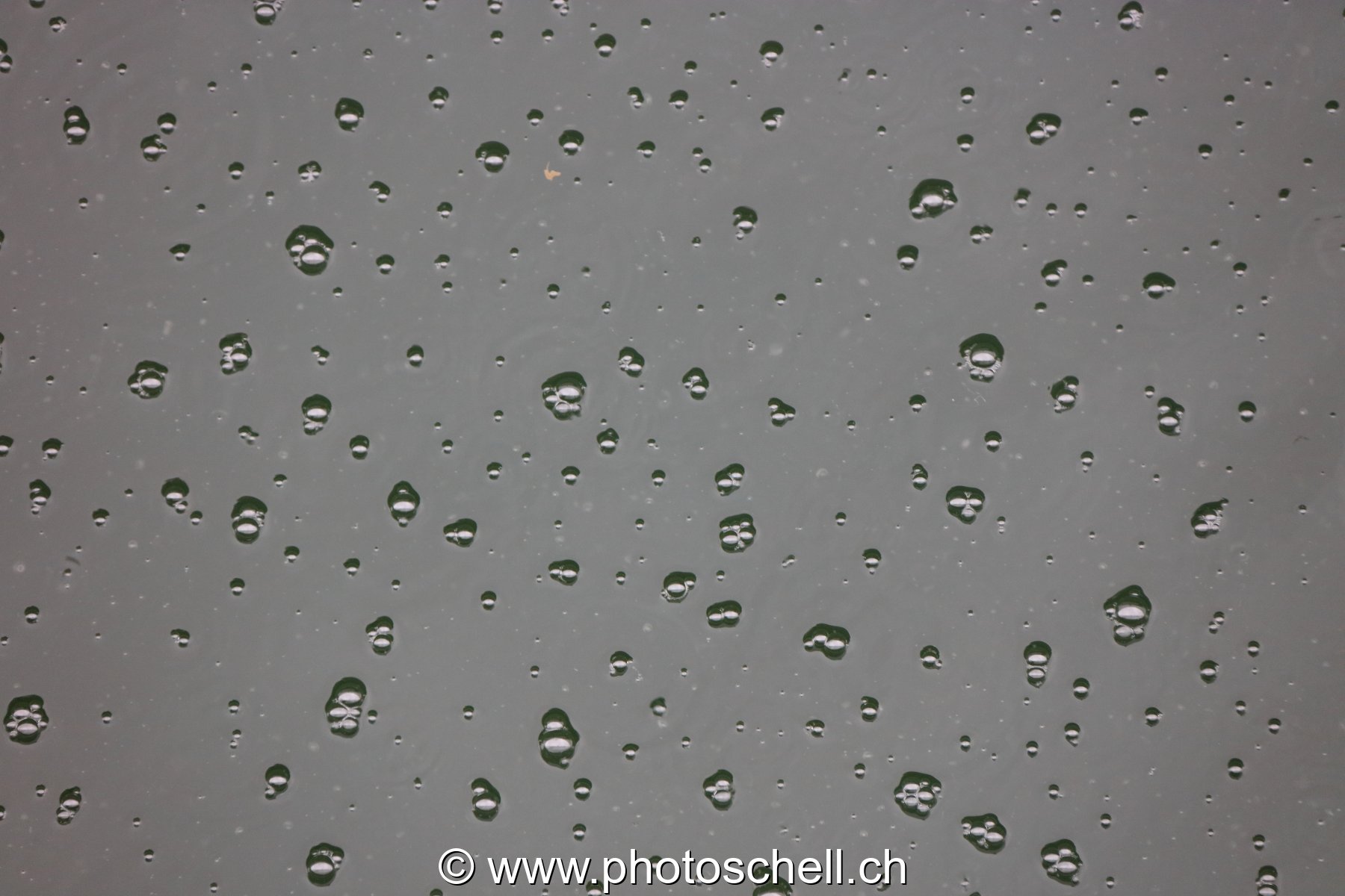 Gouttes d'eau