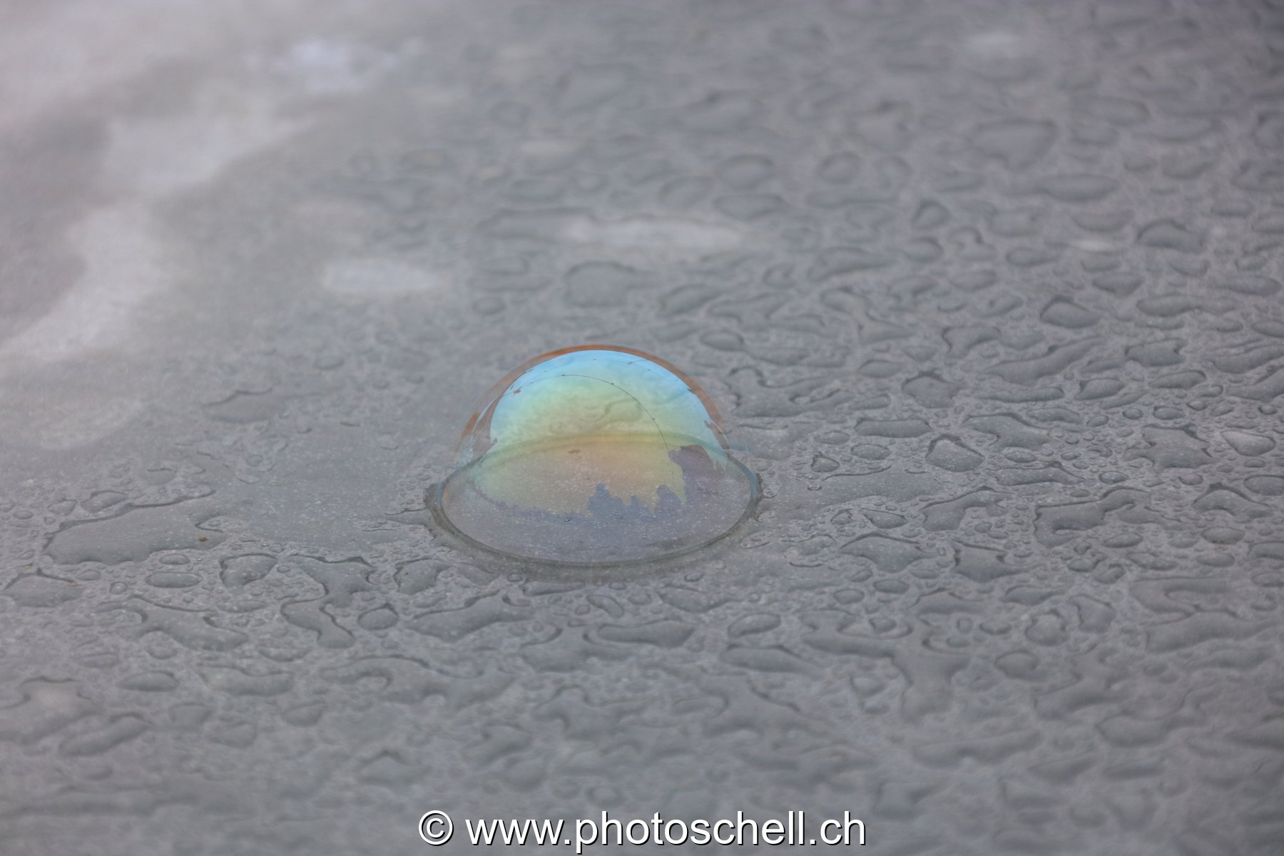 Bulle de savon sur l'eau