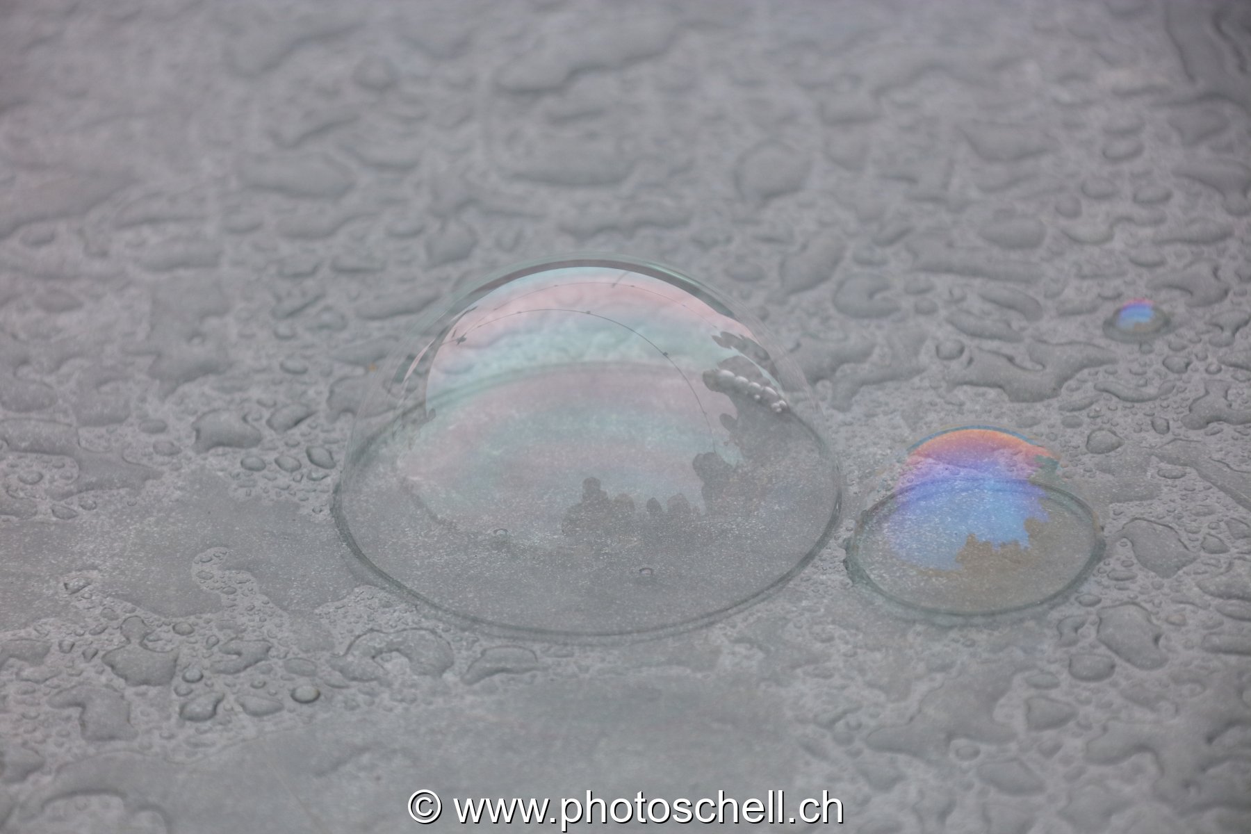Bulles de savon sur l'eau