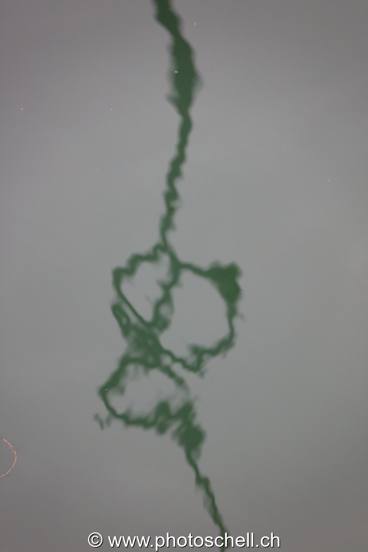 Formes dans l'eau