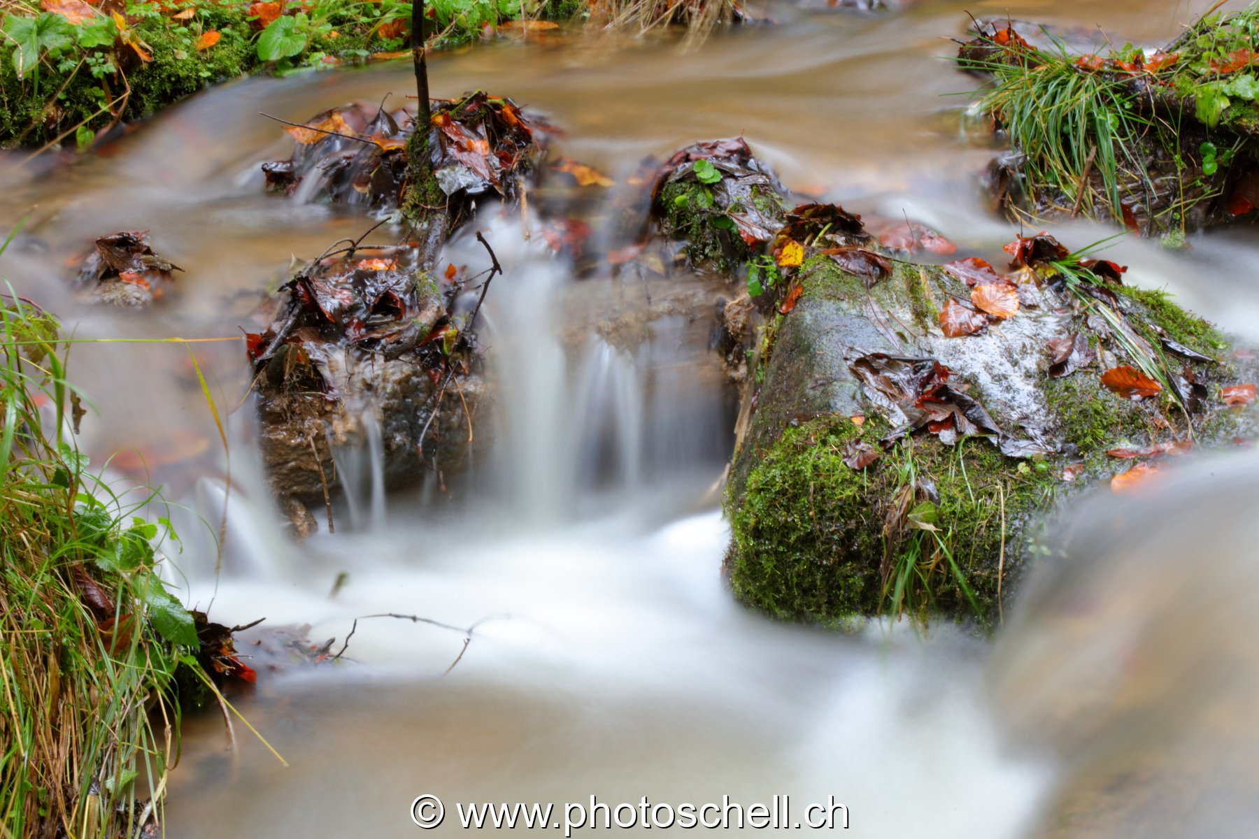 Cascades