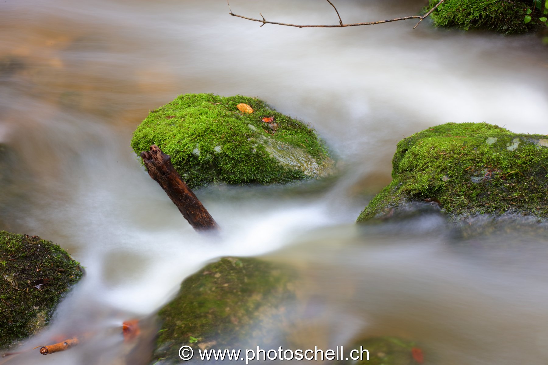Cascades