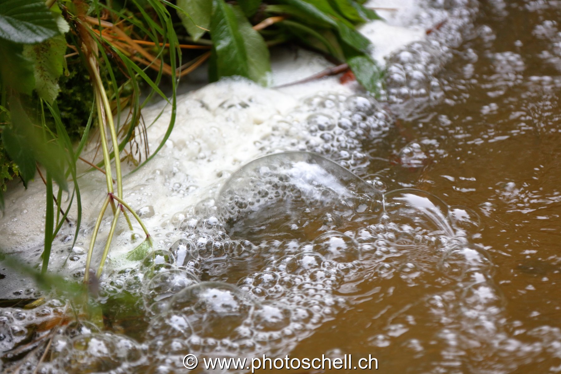 Bulles d'air sur l'eau