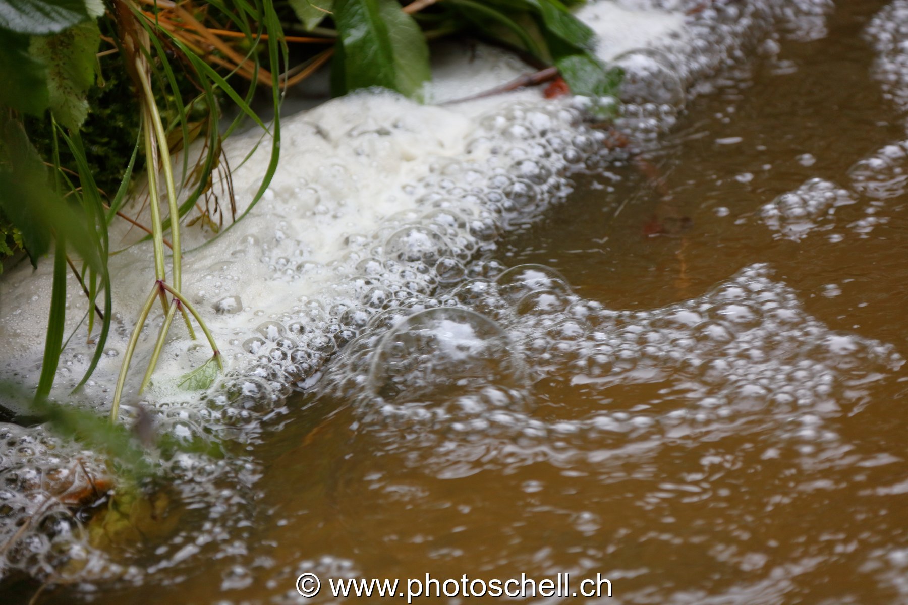 Bulles d'air sur l'eau
