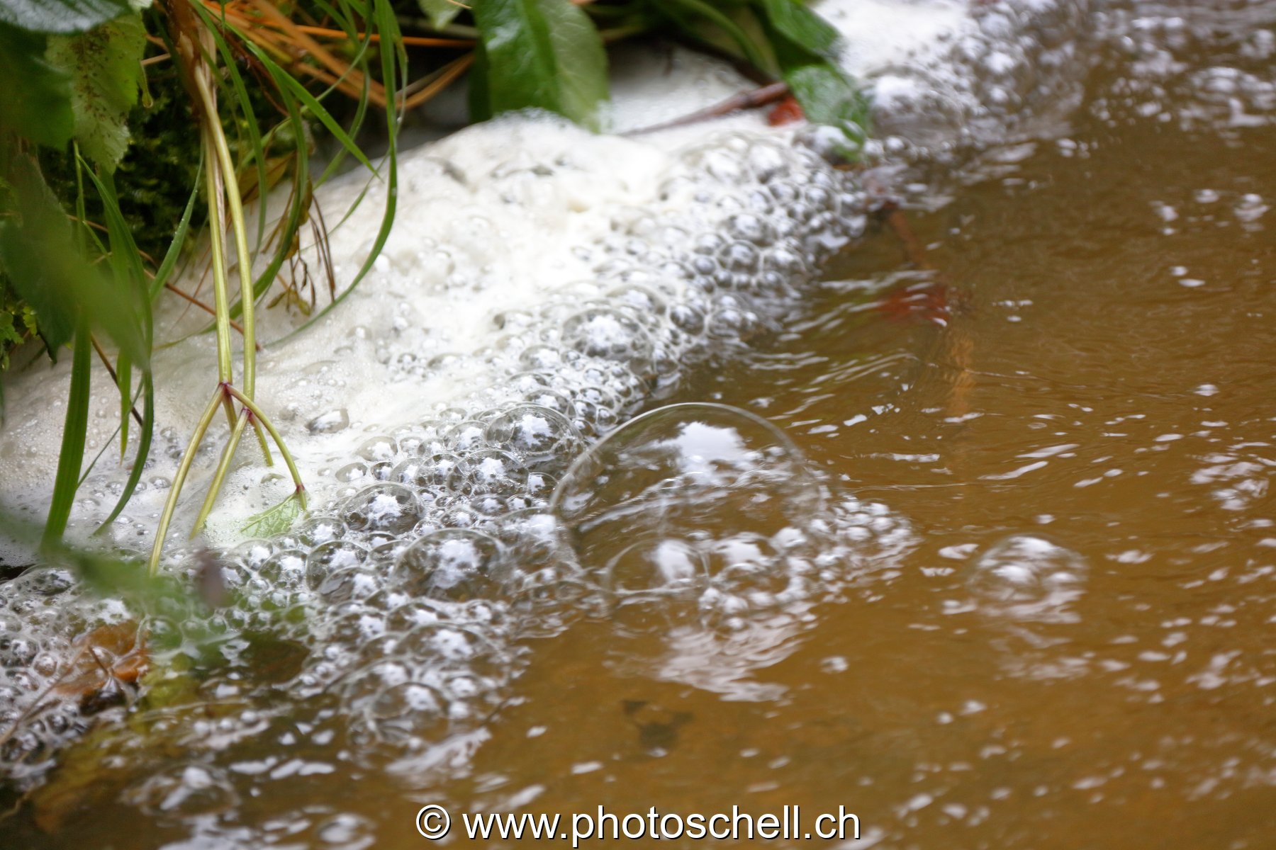 Bulles d'air sur l'eau