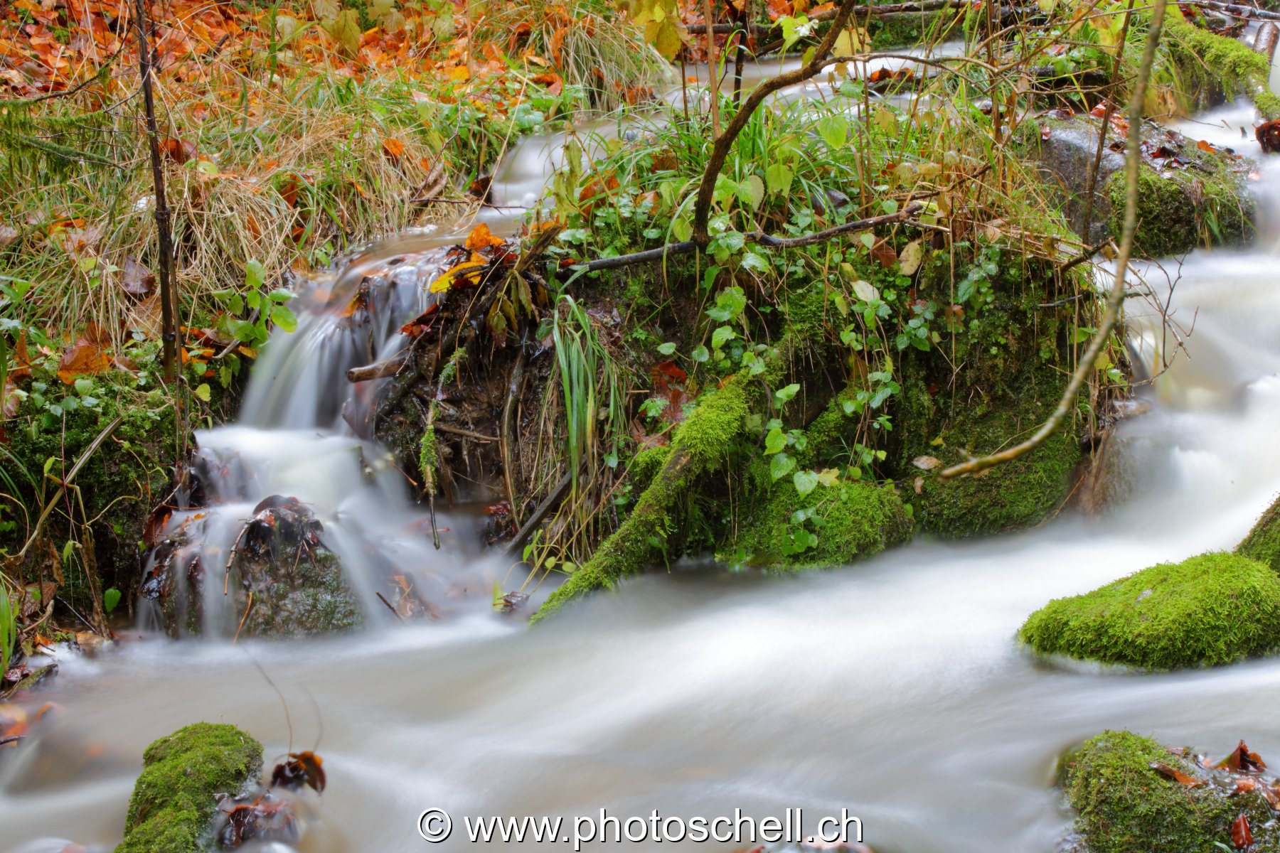Cascades