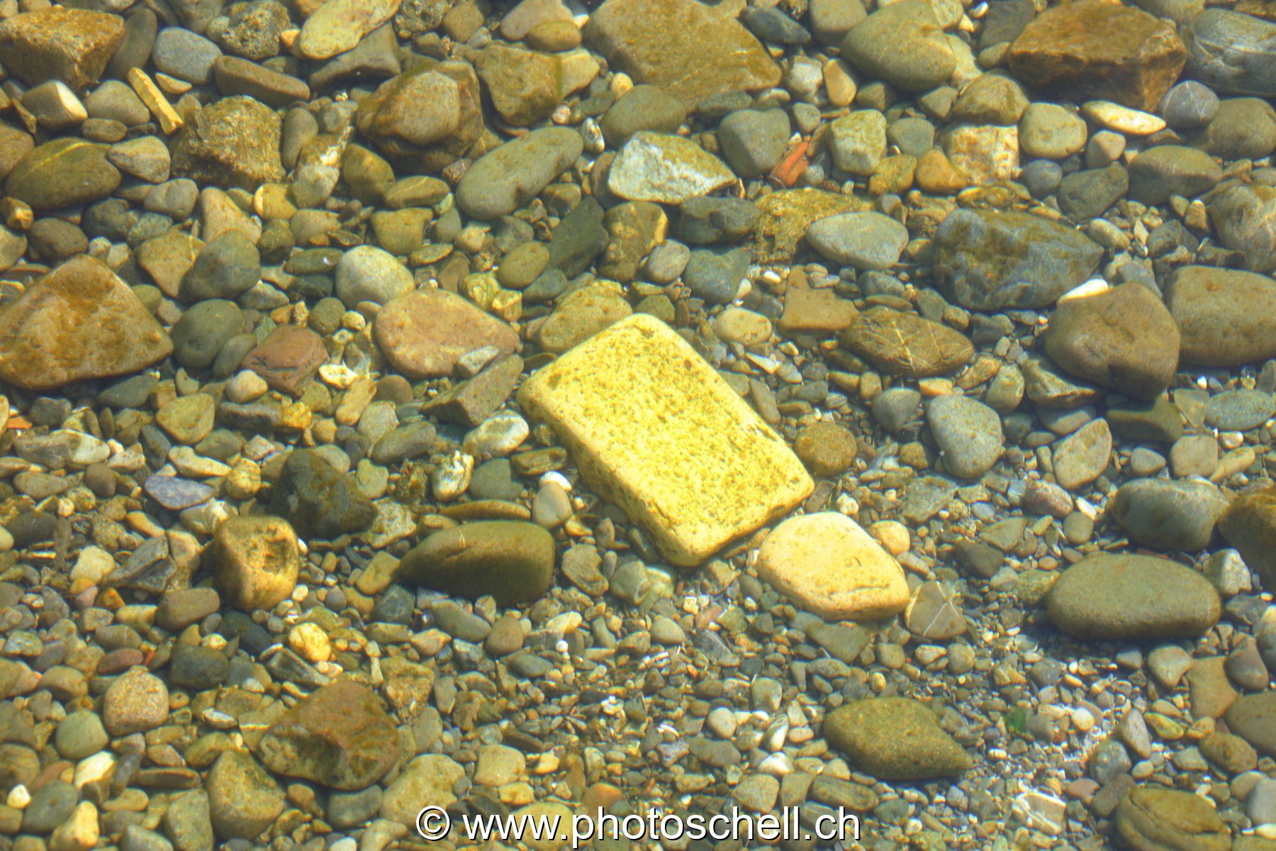 Cailloux au fond de l'eau