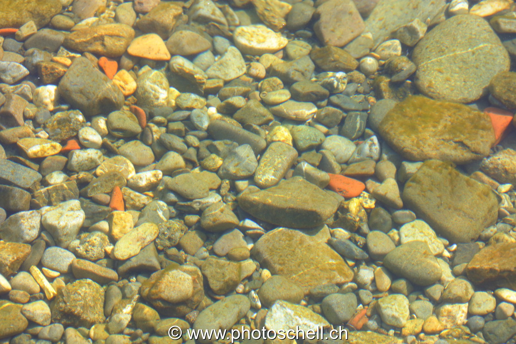 Cailloux au fond de l'eau