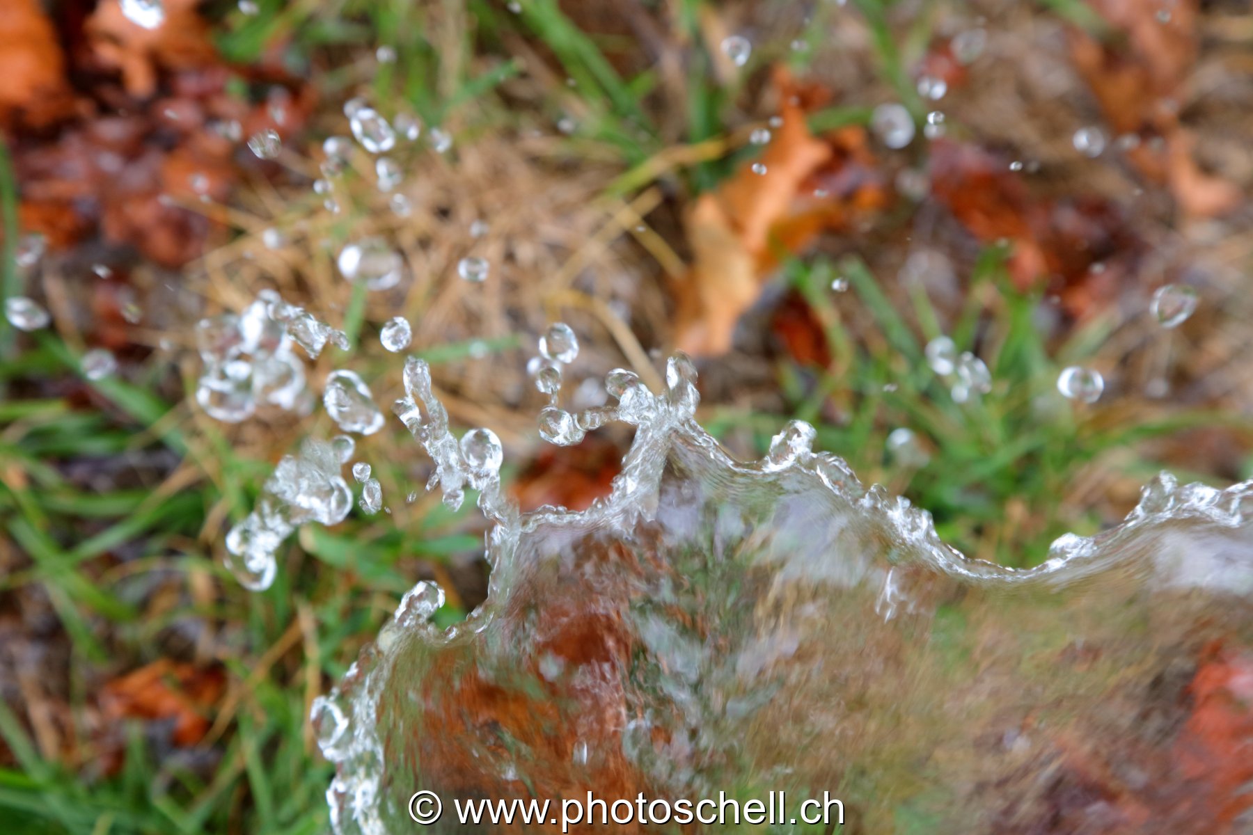 Giclées d'eau dans l'herbe
