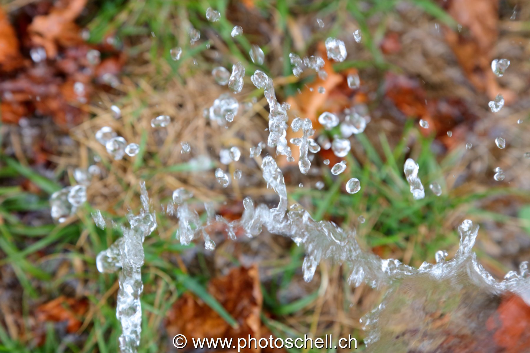 Giclées d'eau dans l'herbe