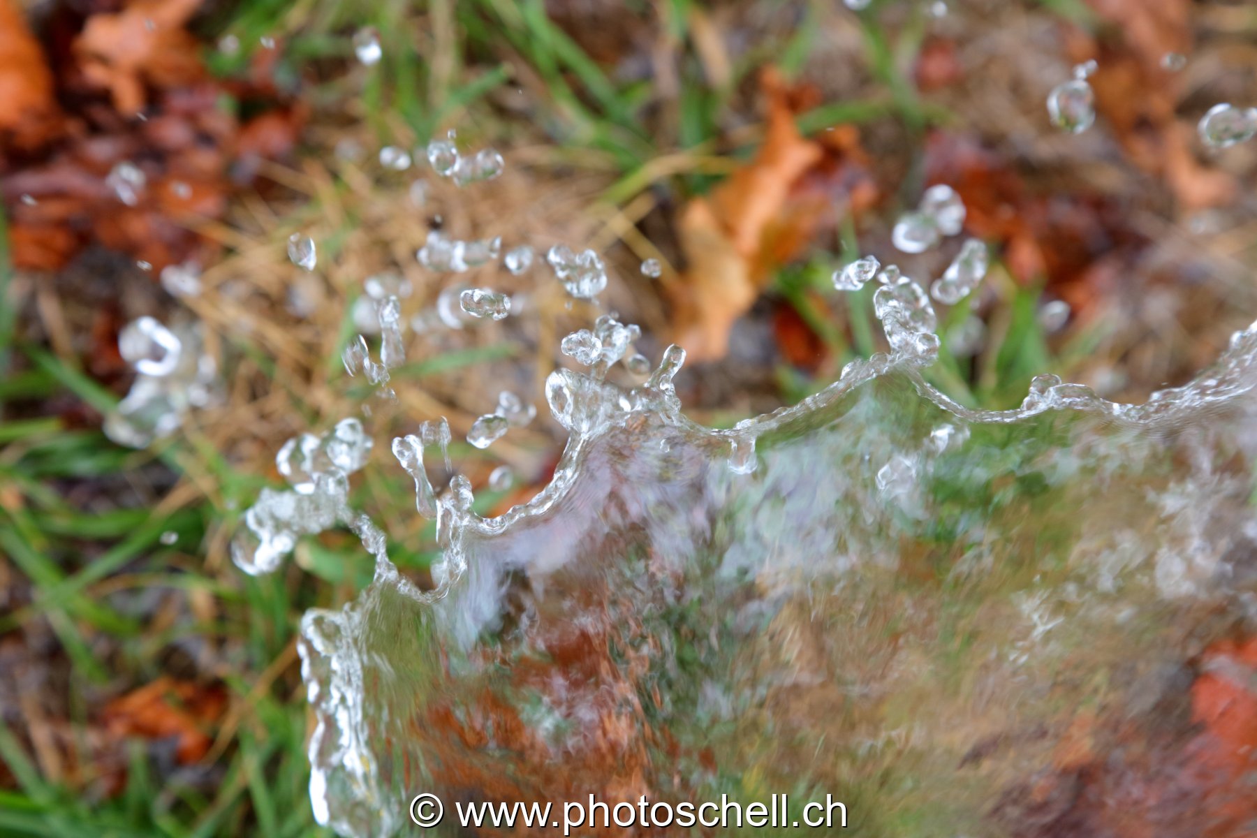 Giclées d'eau dans l'herbe
