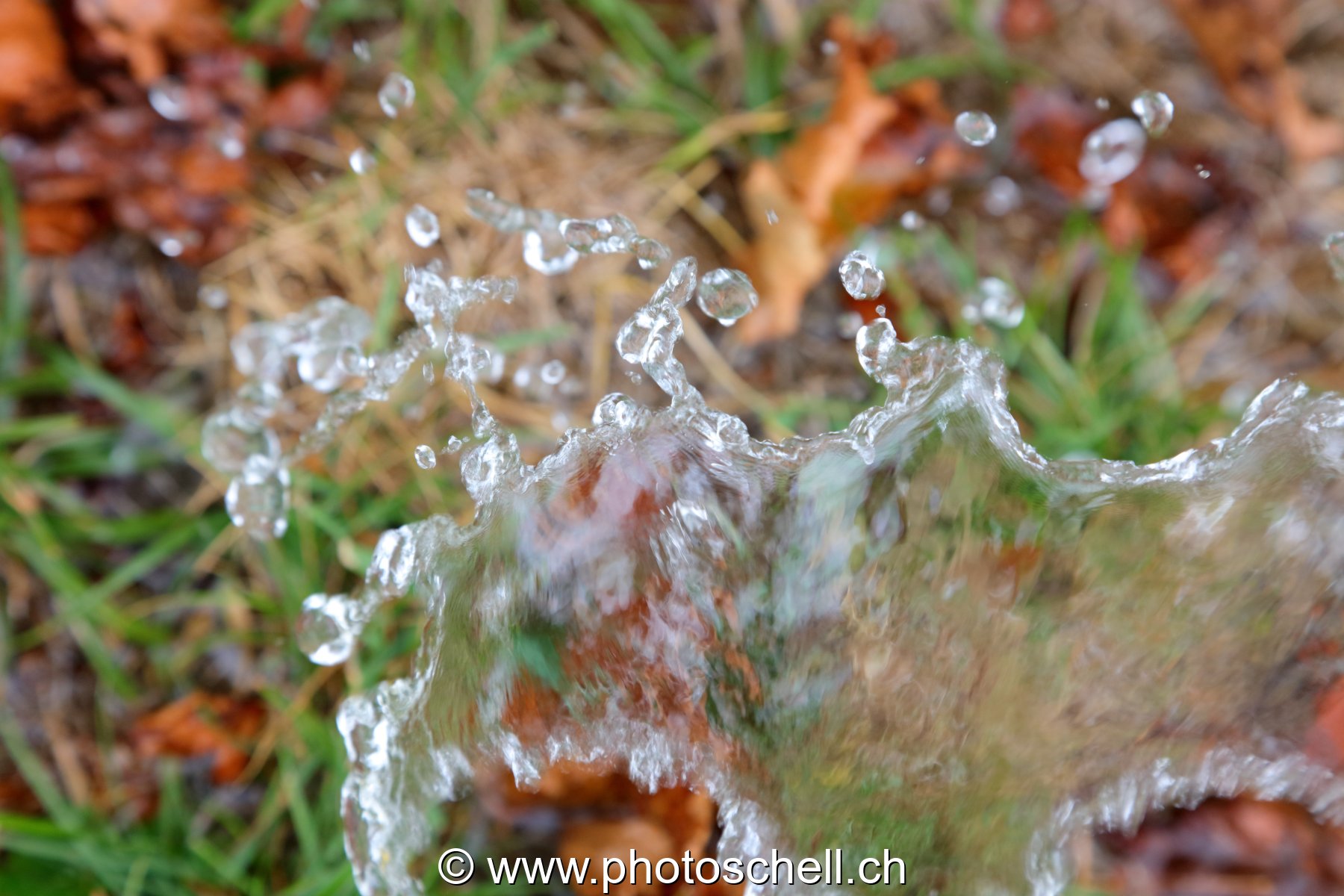 Giclées d'eau dans l'herbe