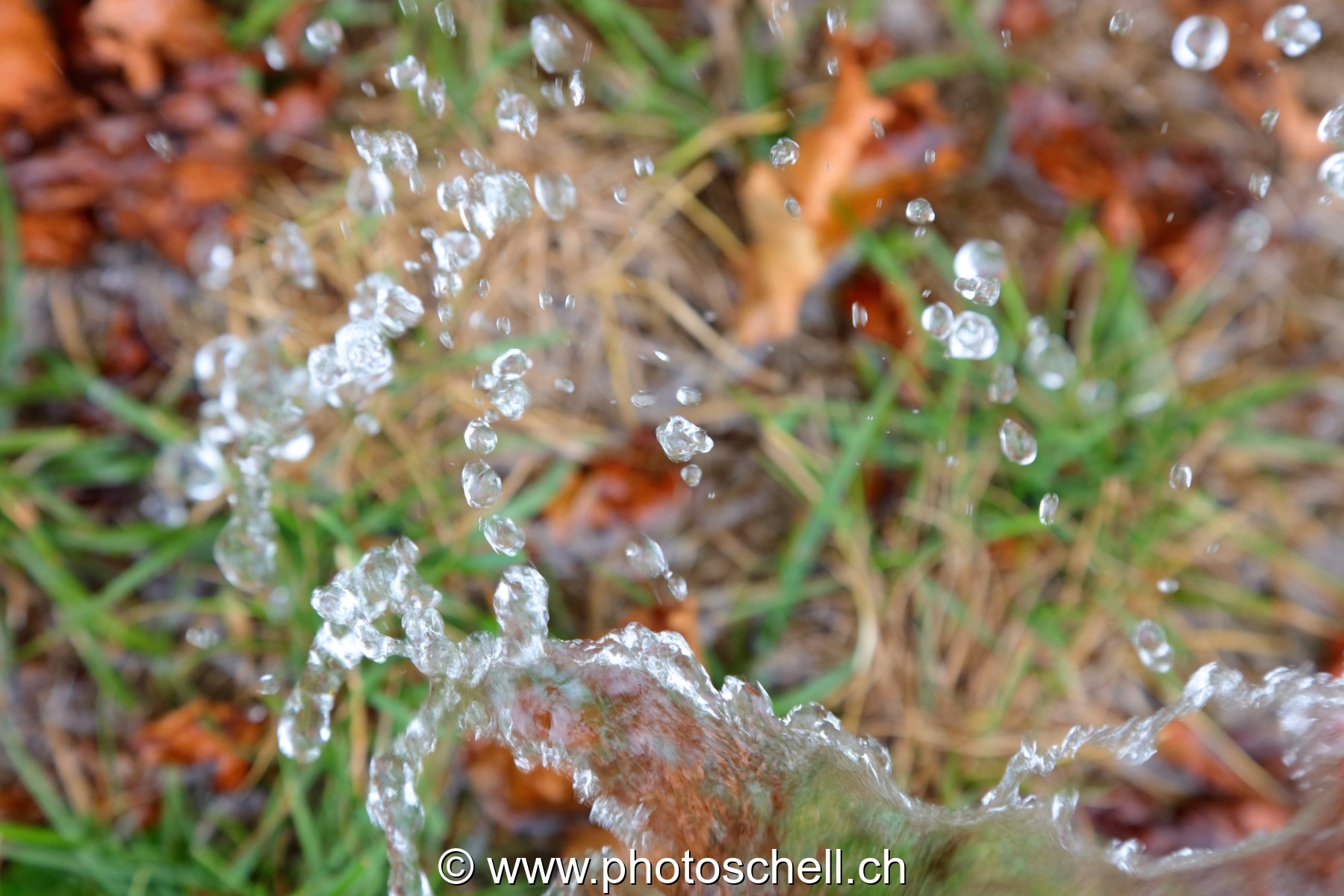 Giclées d'eau dans l'herbe